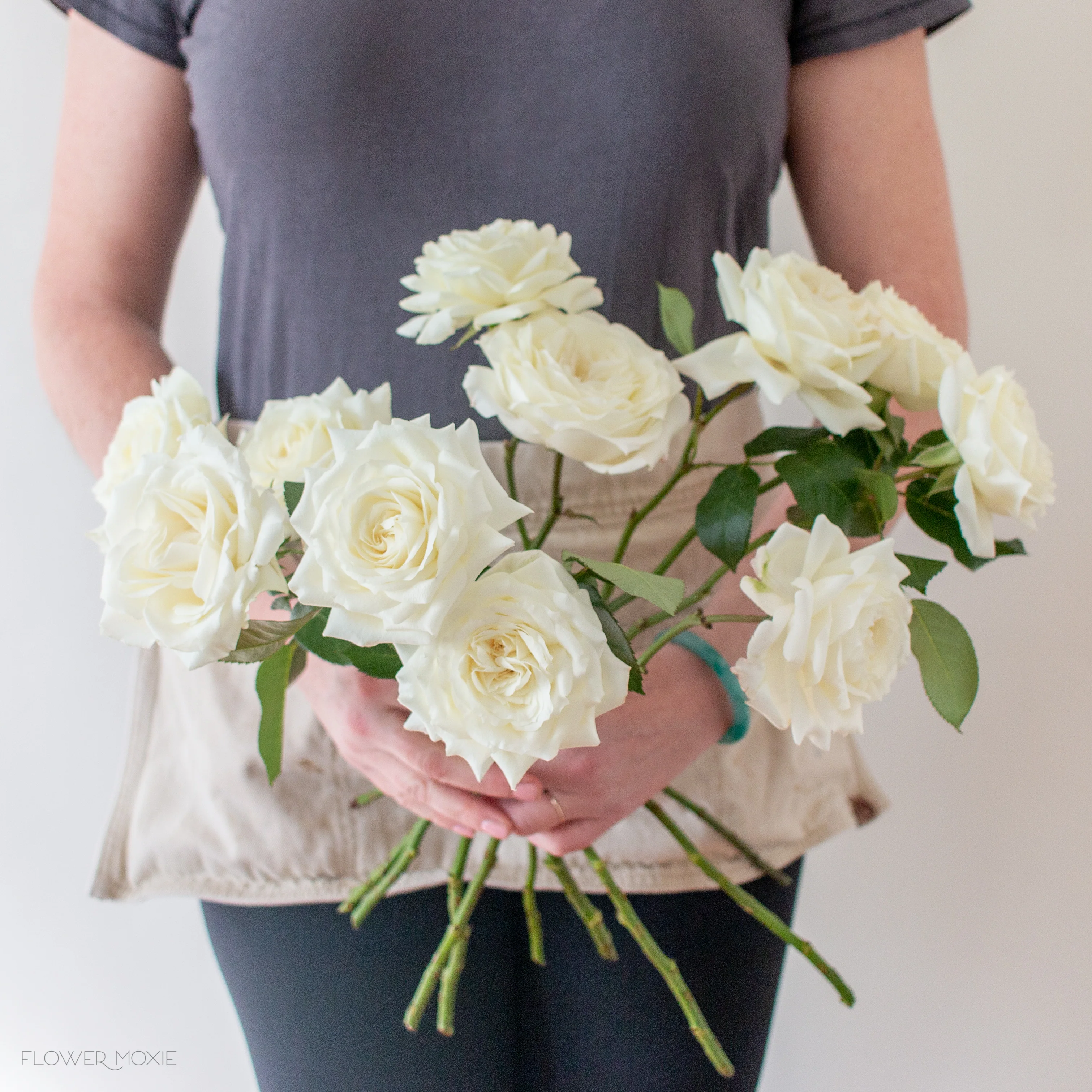 Cream Garden Rose - Image 11