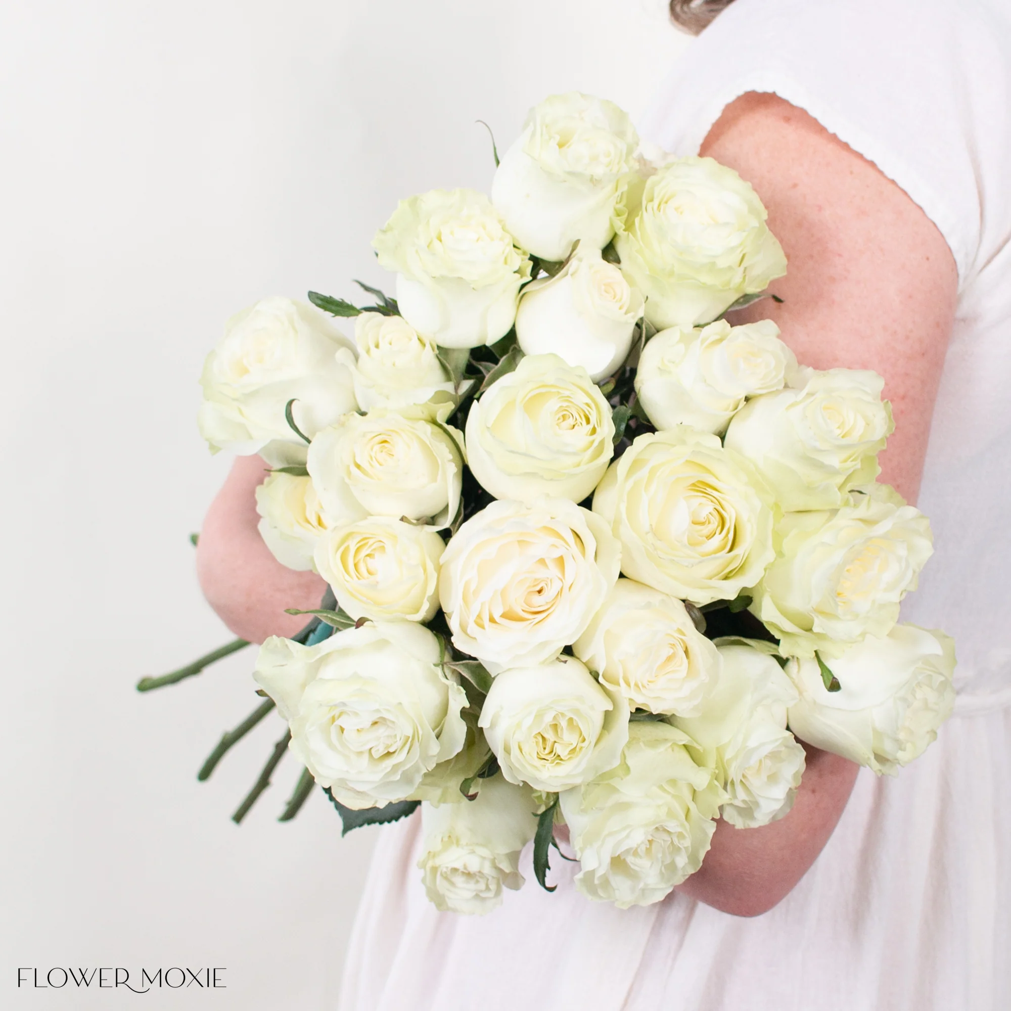 Cream Garden Rose - Image 3
