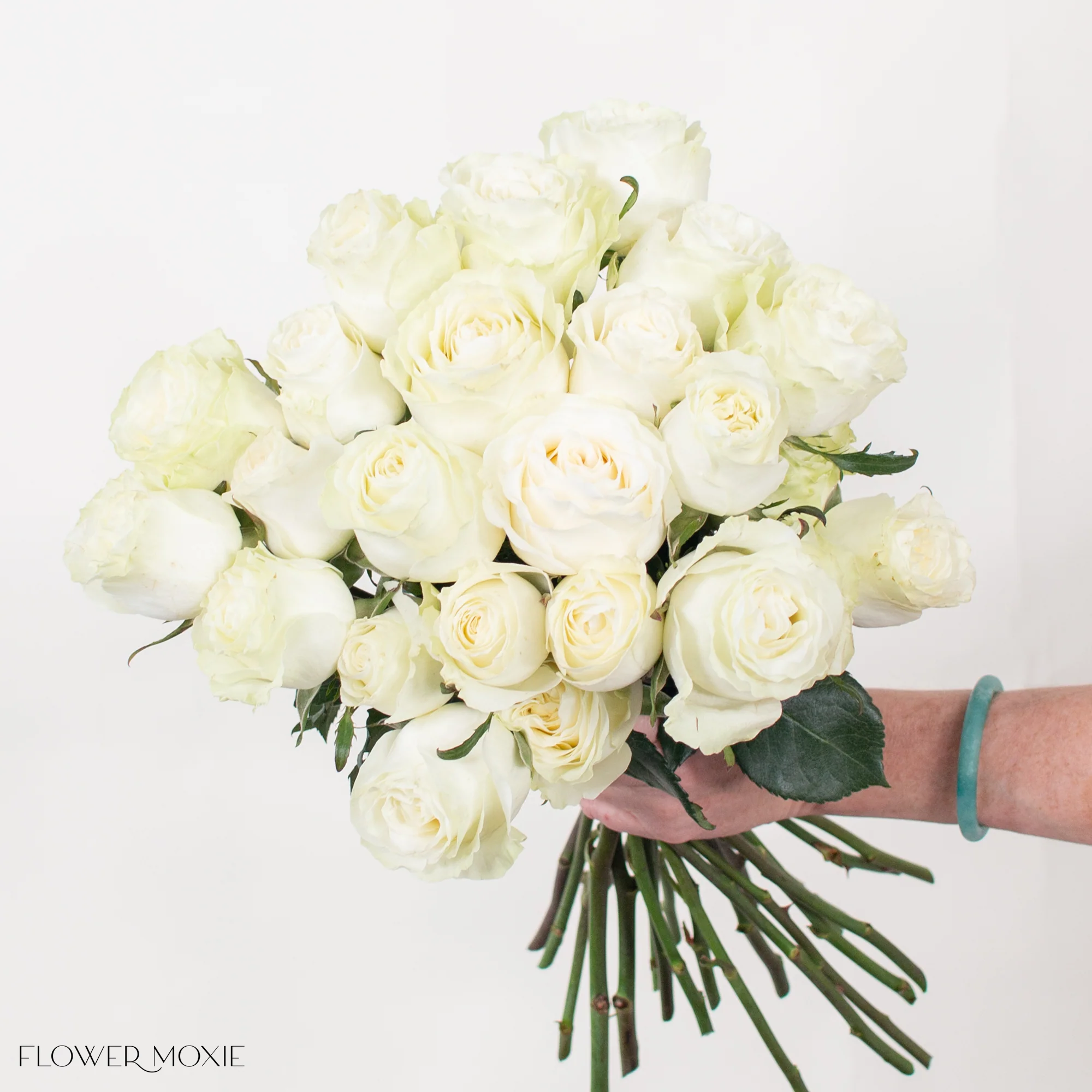 Cream Garden Rose - Image 5