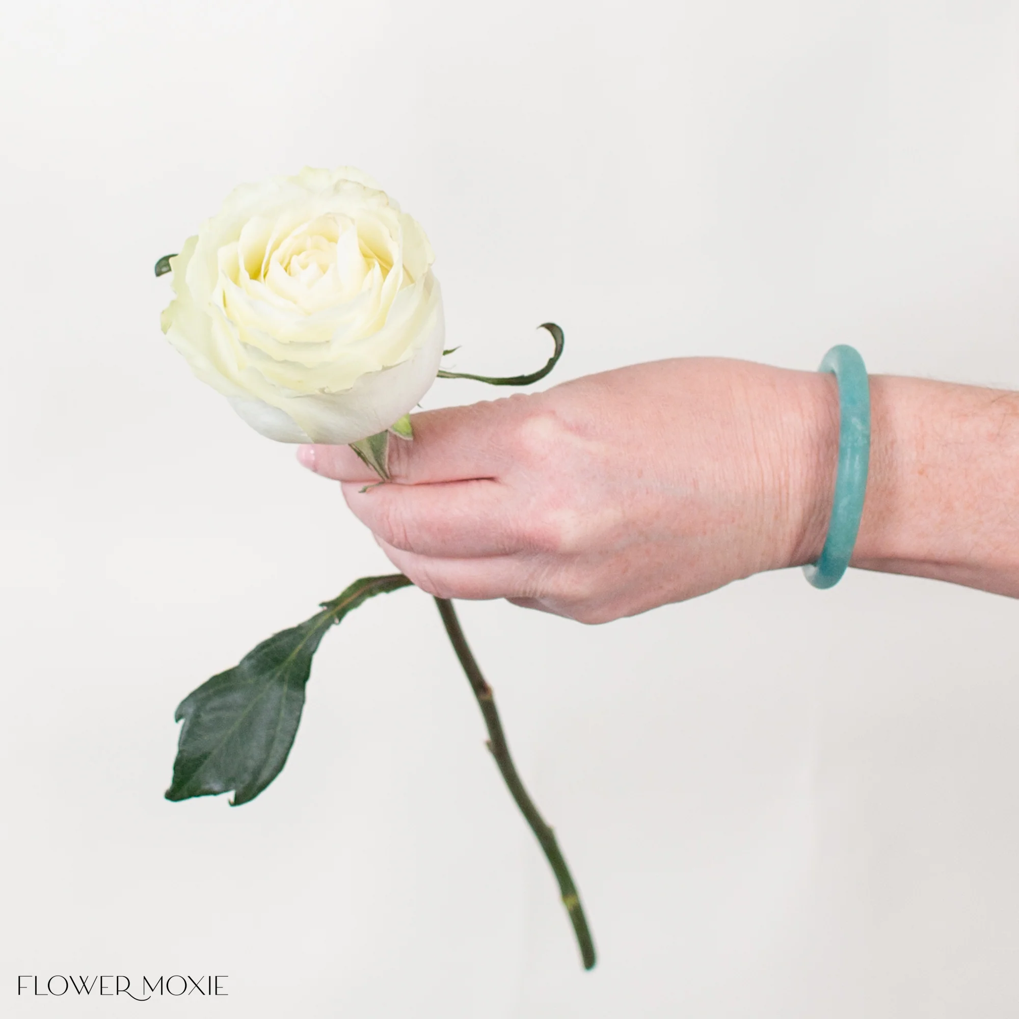 Cream Garden Rose - Image 7