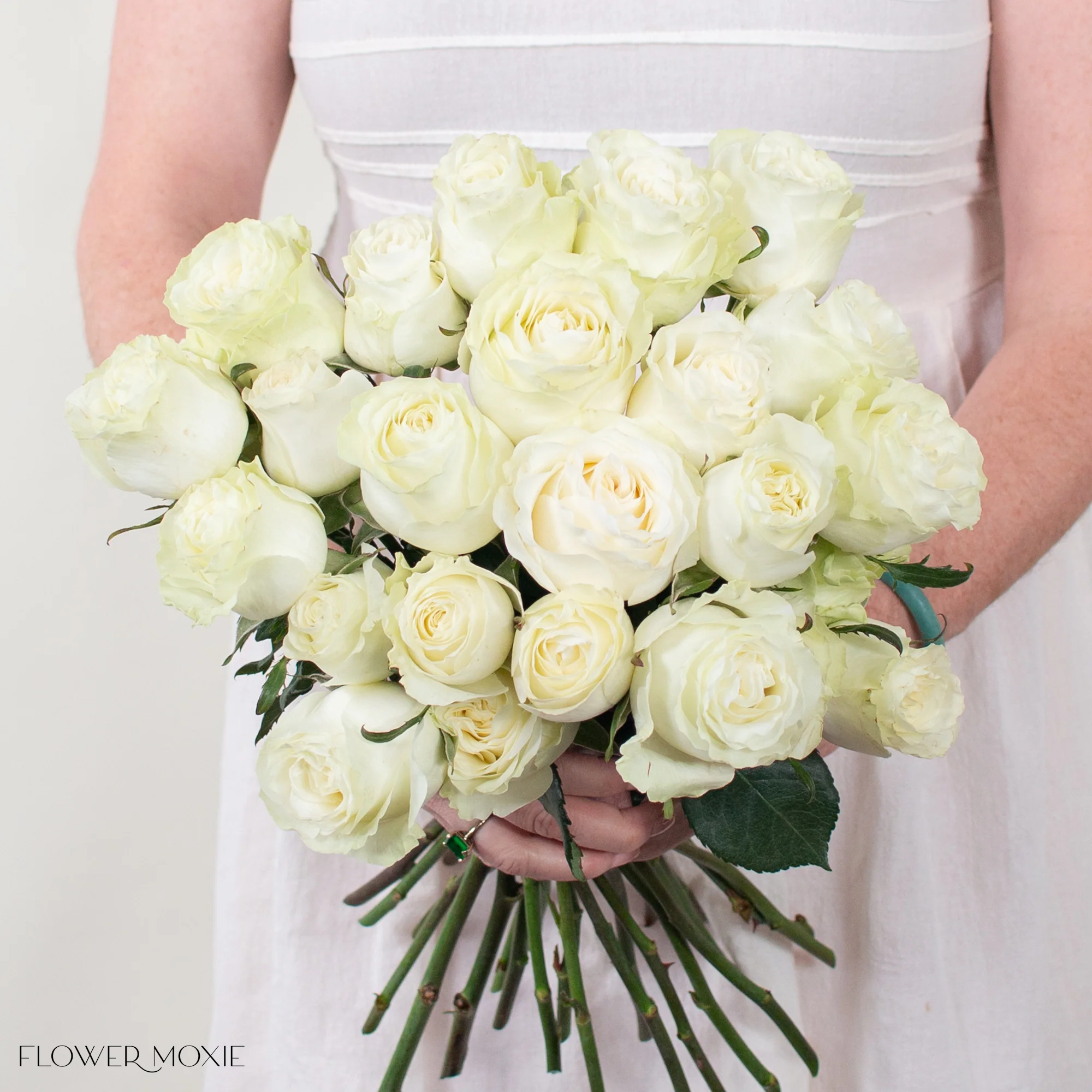 Cream Garden Rose - Image 8