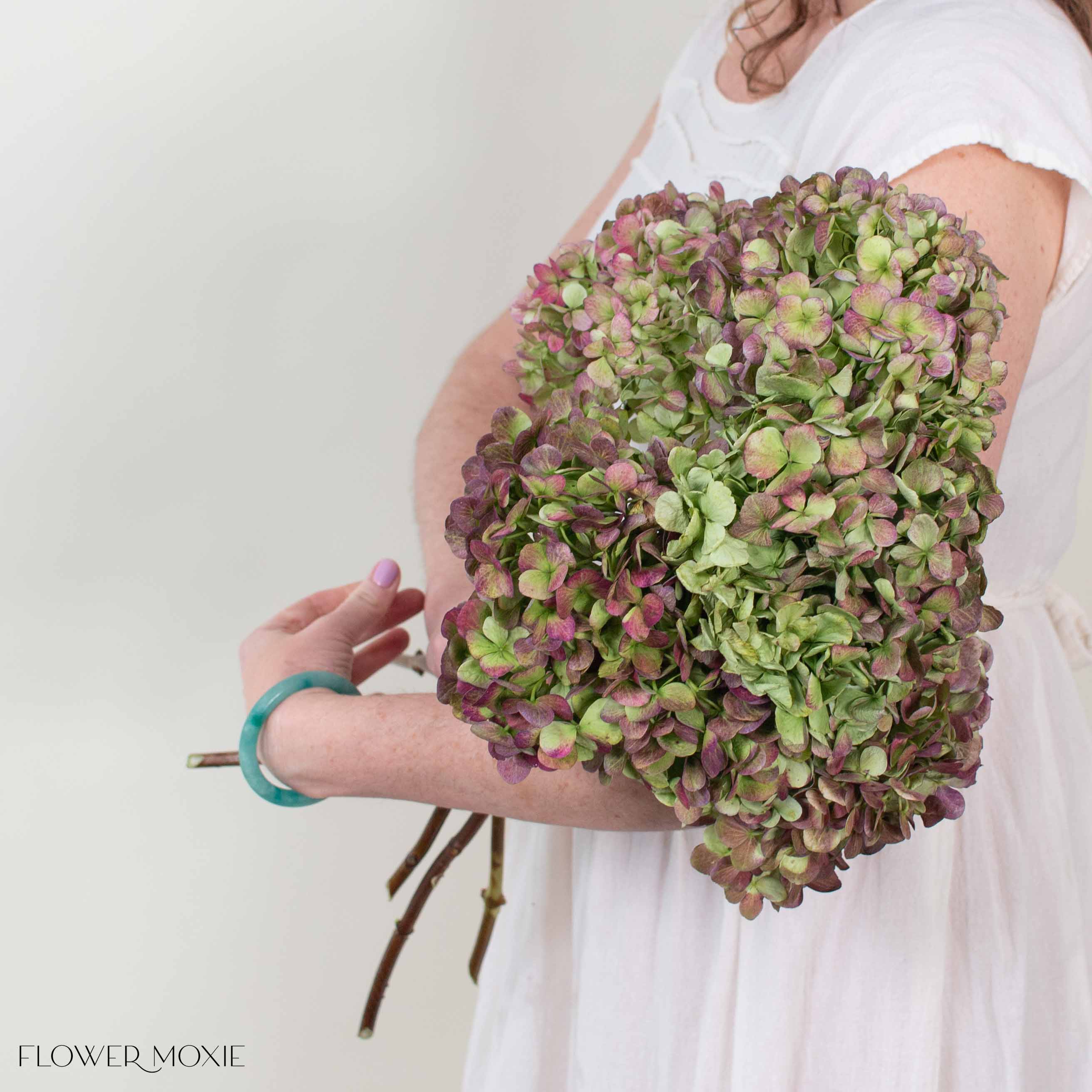Burgundy Antique Hydrangea Flower - Image 3