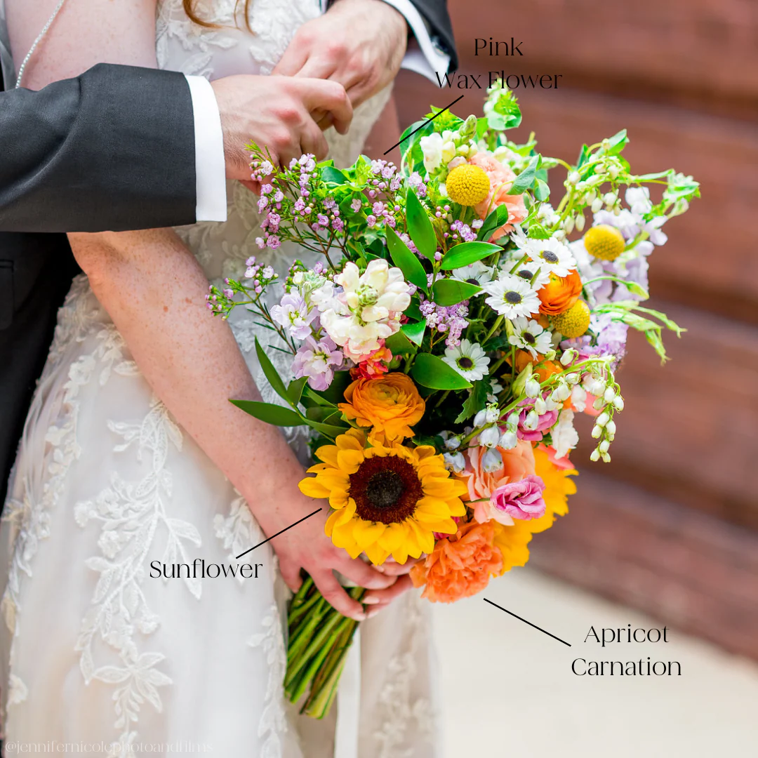 Apricot Carnation Flower - Image 2