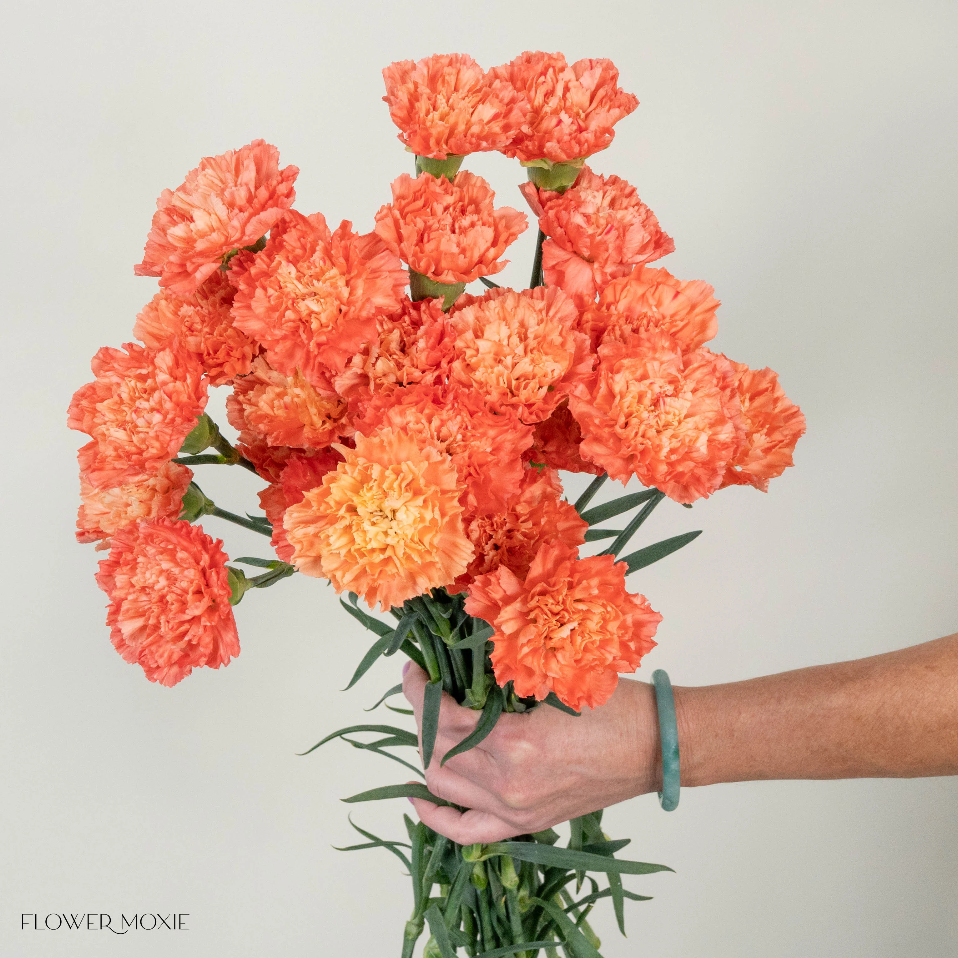 Apricot Carnation Flower - Image 5