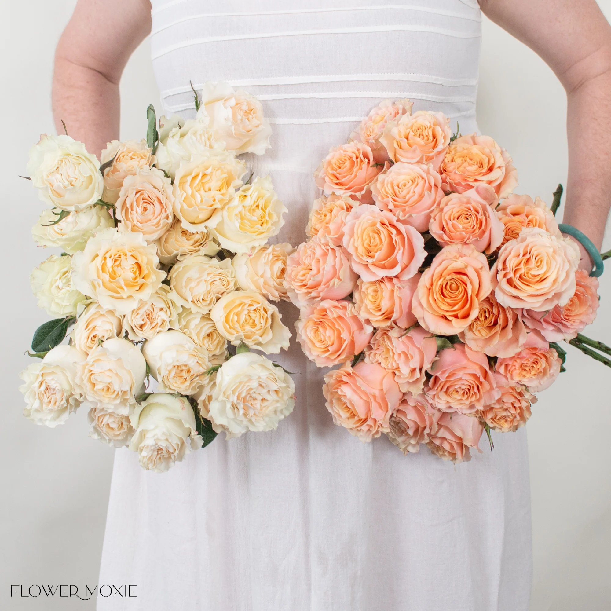Carpe Diem Roses Mixed Box - Image 3