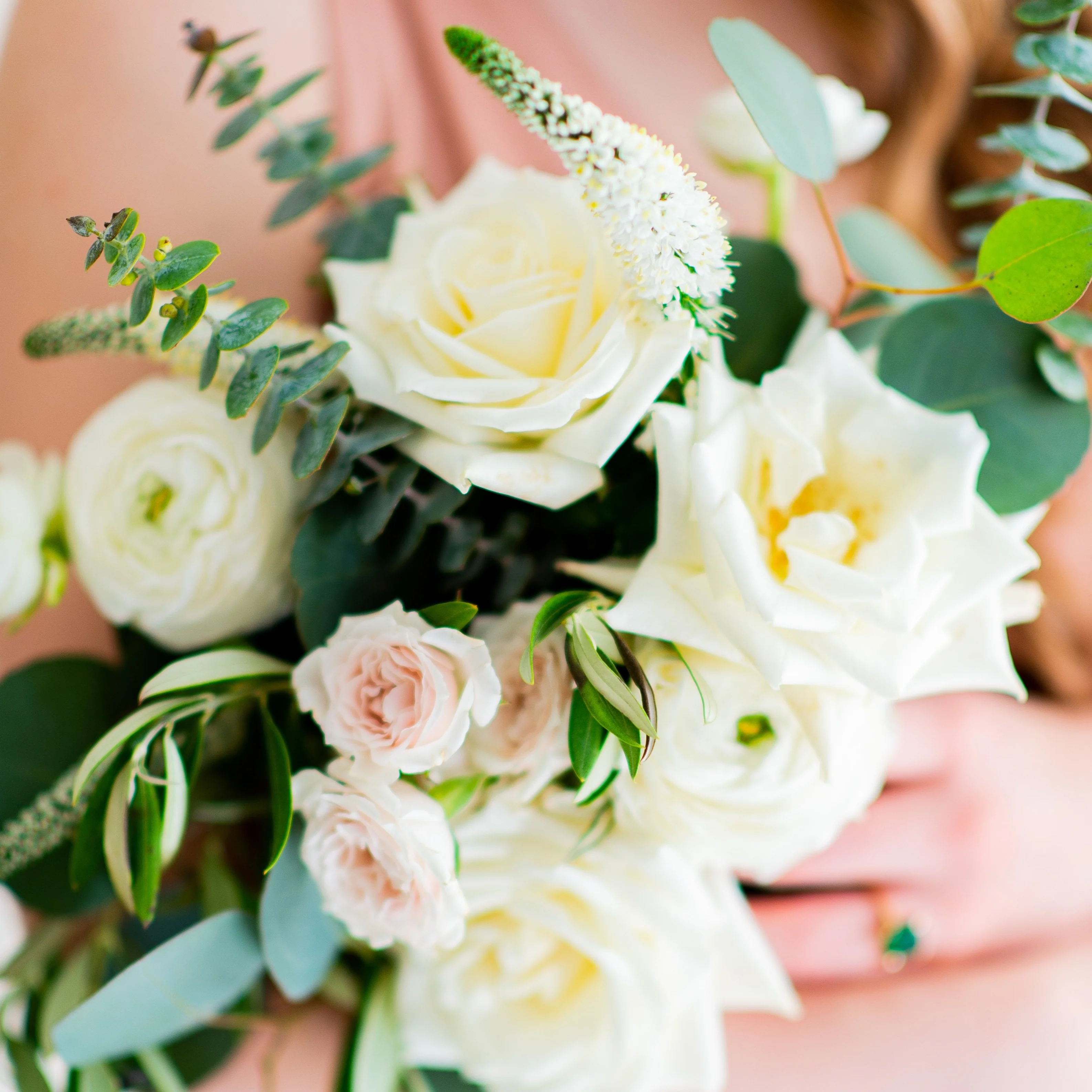 Baby Eucalyptus Greenery - Image 5
