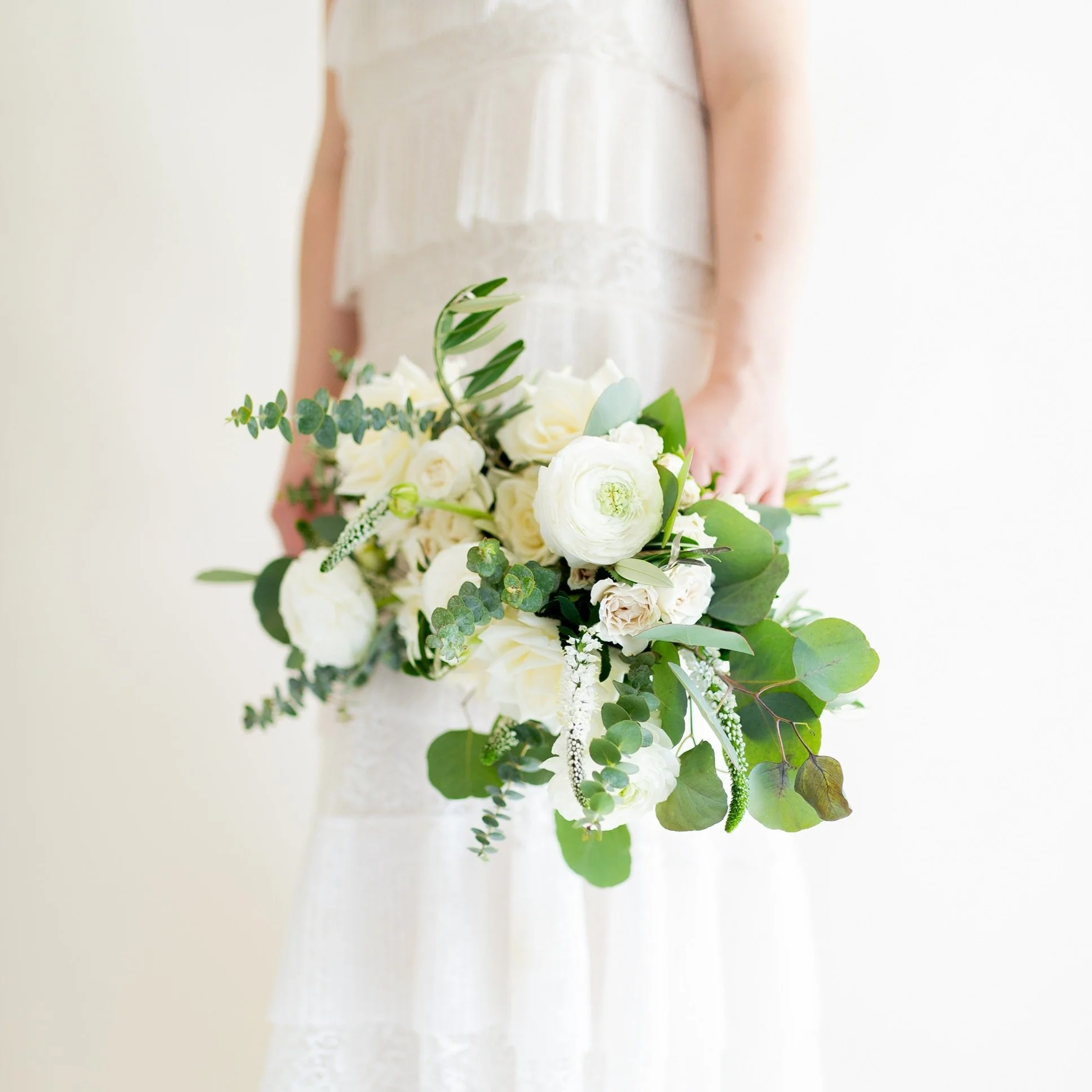 Baby Eucalyptus Greenery - Image 8
