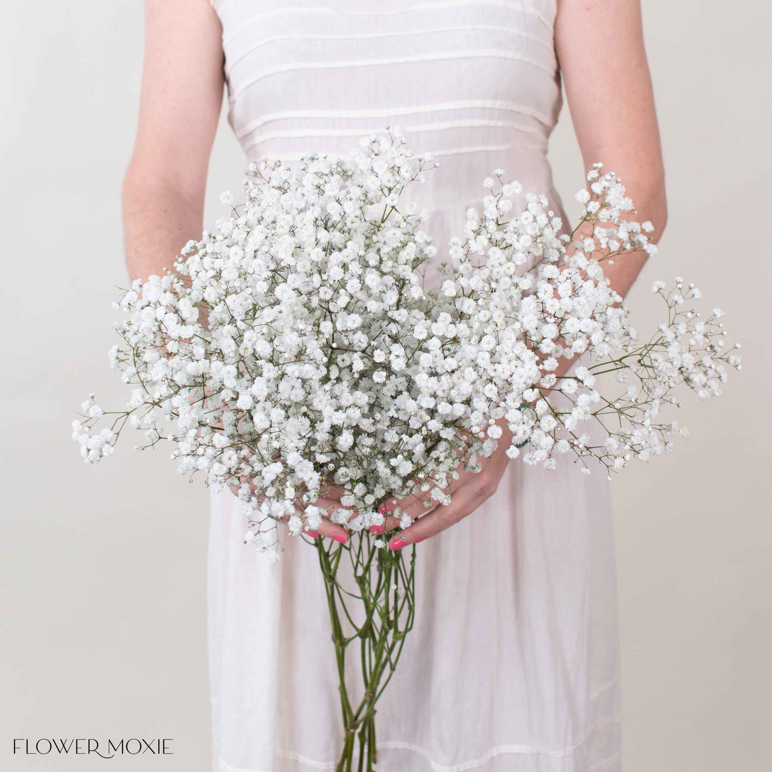 Large Xlence Baby's Breath Flower - Image 3