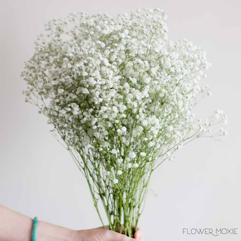 Large Xlence Baby's Breath Flower - Image 4
