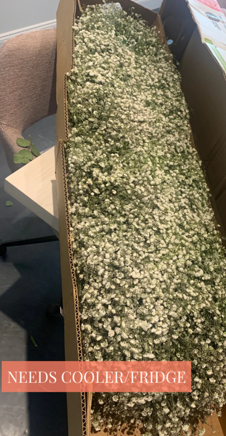 White Baby's Breath Garland - Image 7