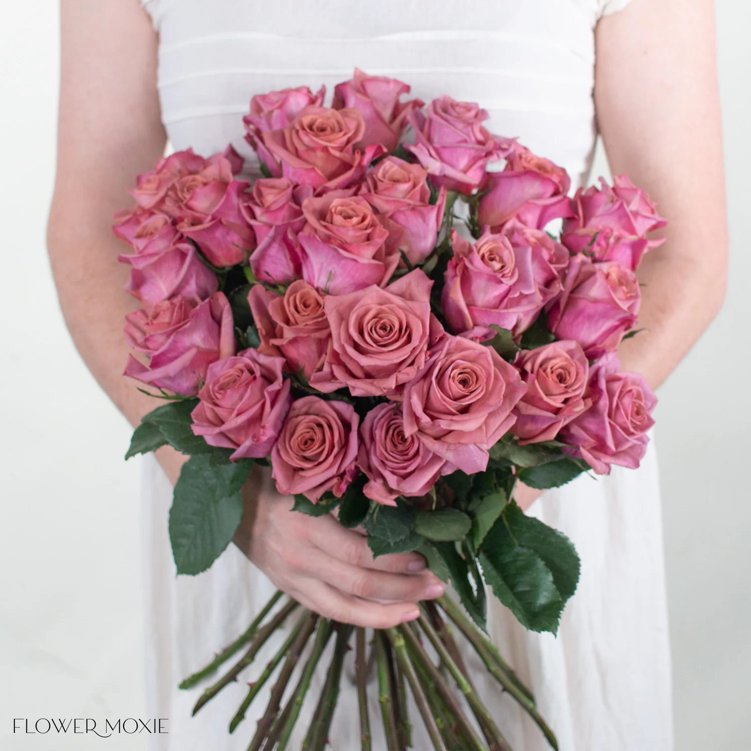 Mauve Barista Rose - Image 2
