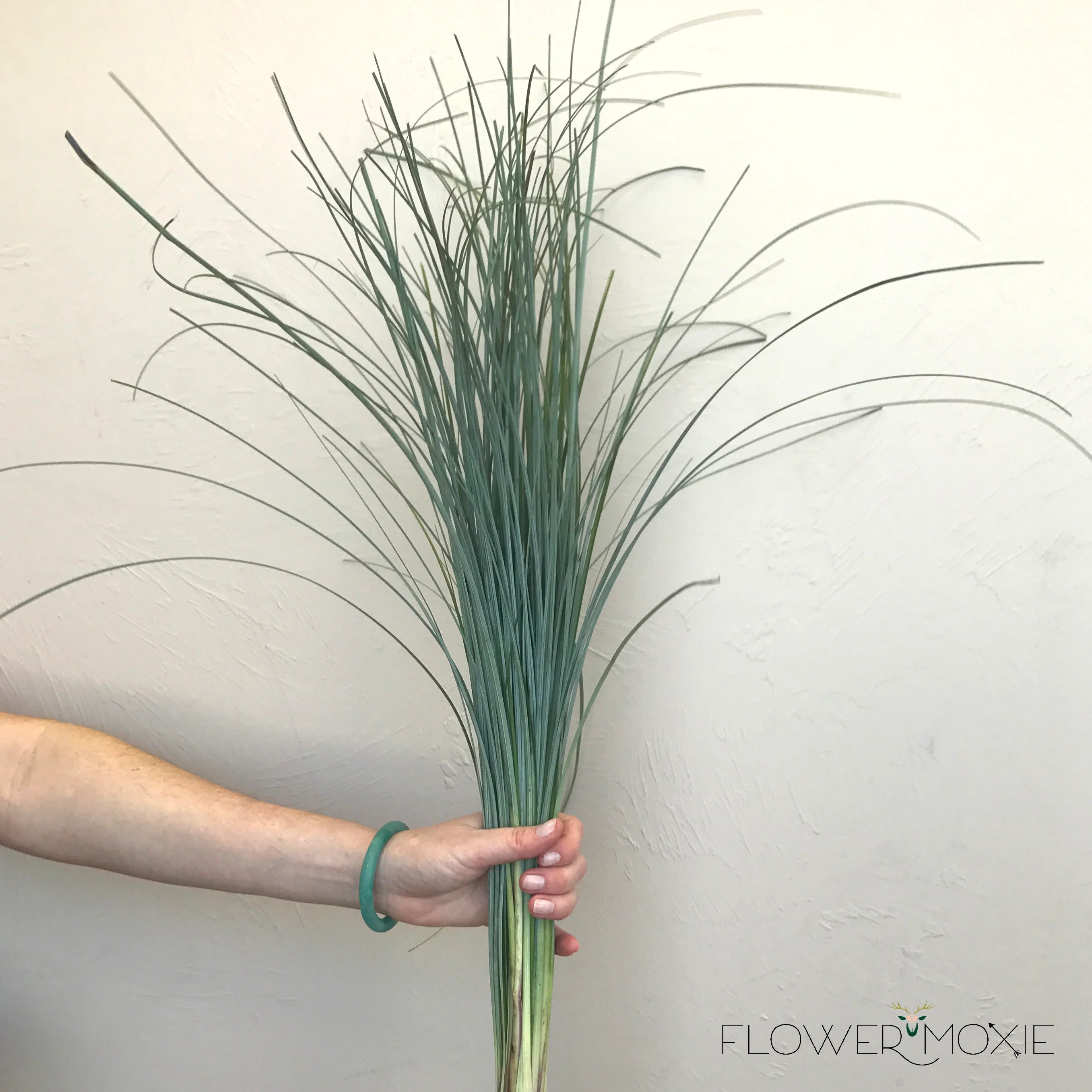 Bear Grass Greenery