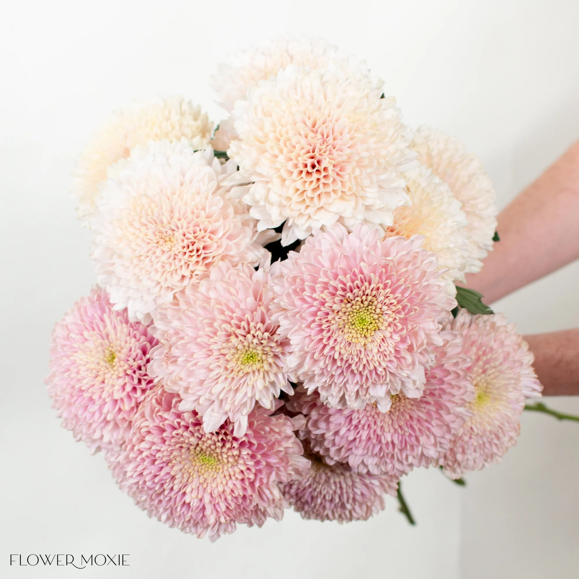 Champagne and Dusty Pink Cremones Mixed Box - Image 2