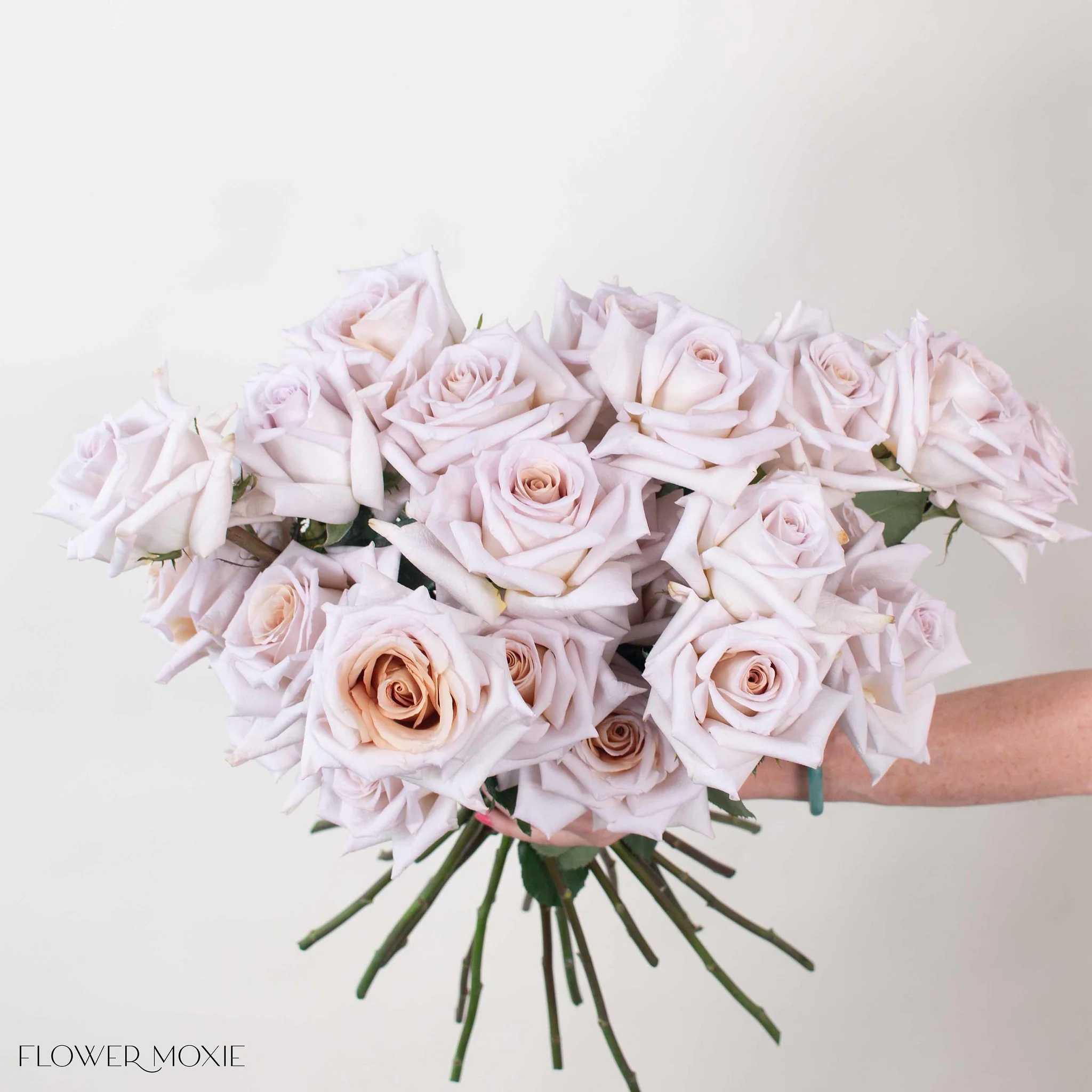Mauve Beige Rose - Image 5