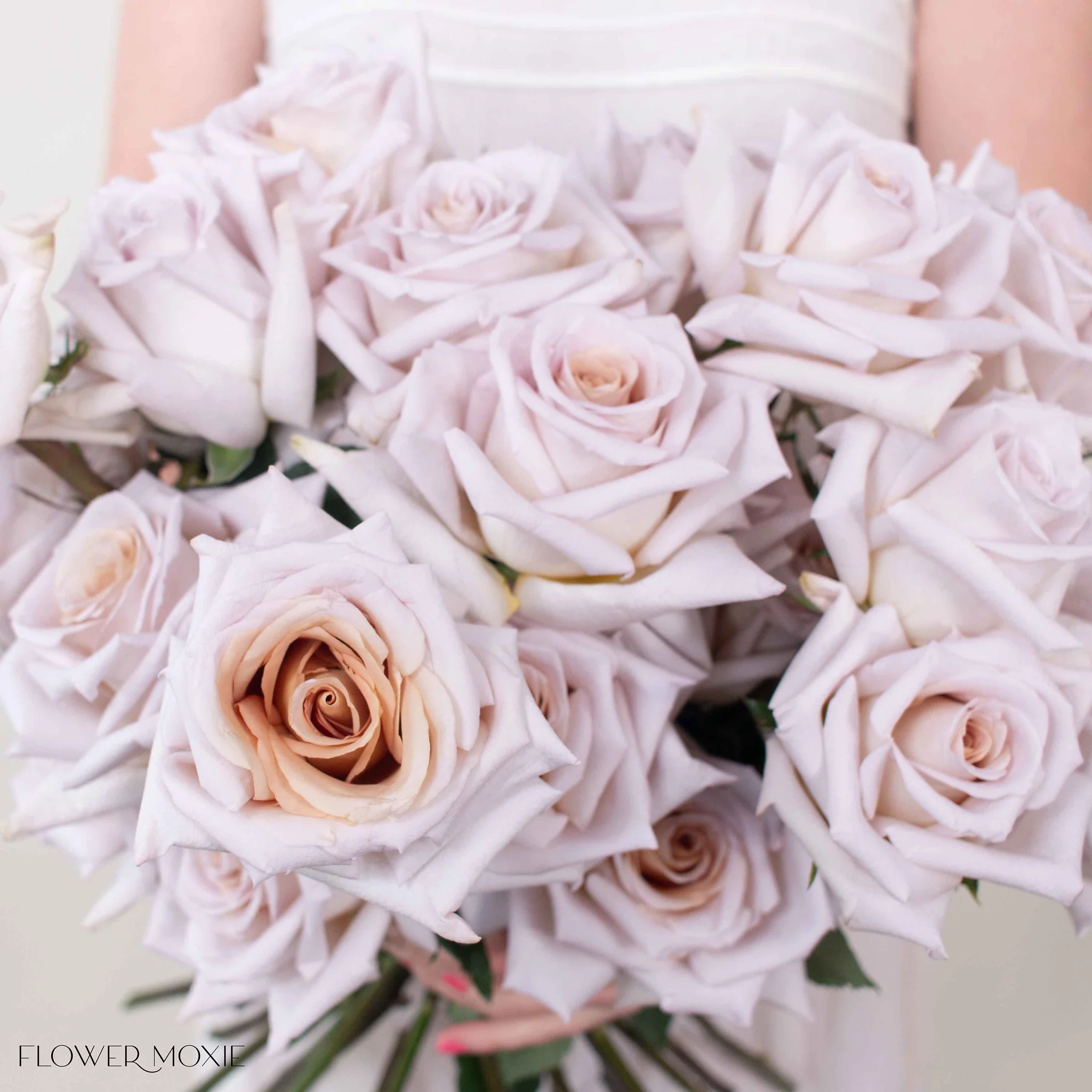 Mauve Beige Rose - Image 6