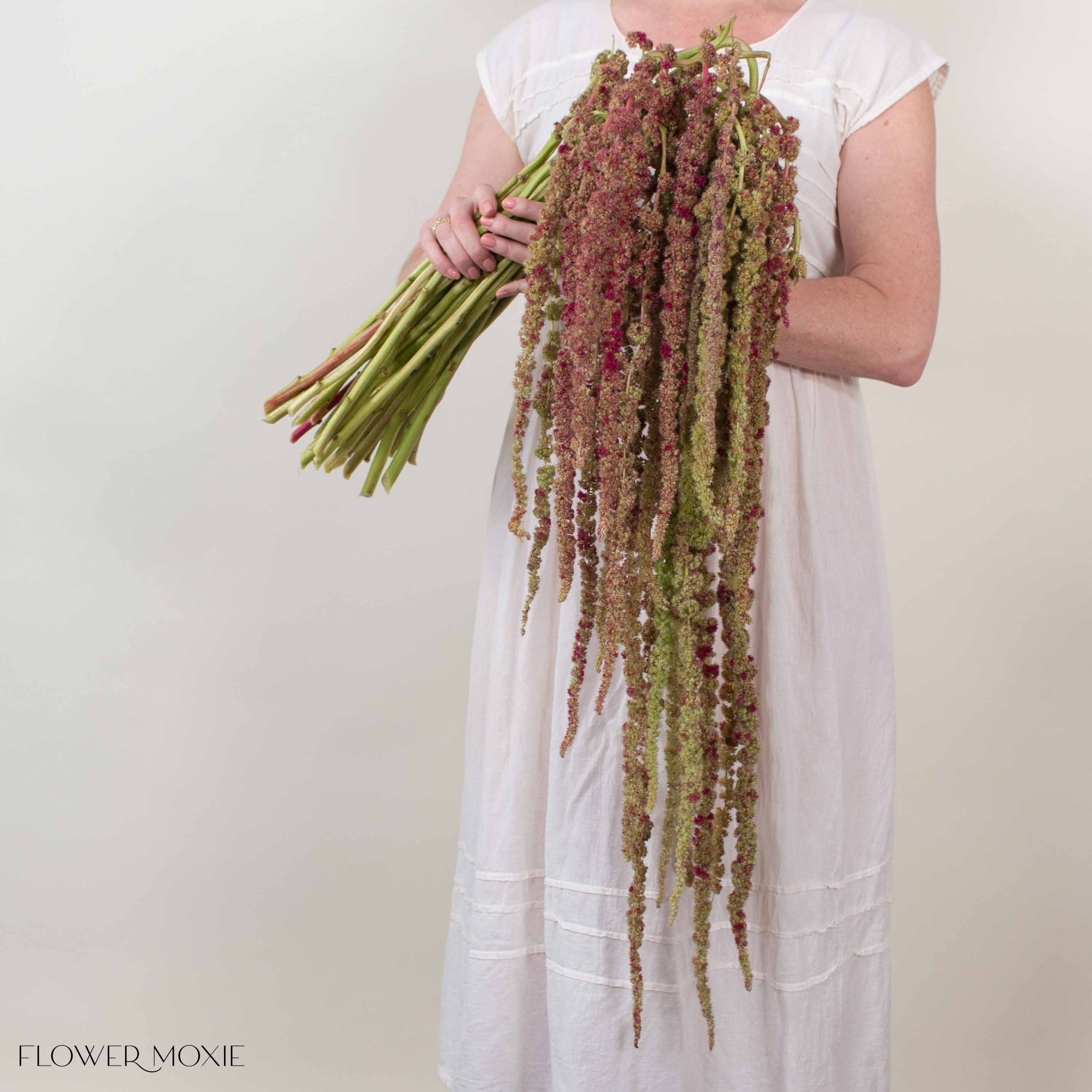 Bicolor Hanging Amaranthus Flower - Image 5