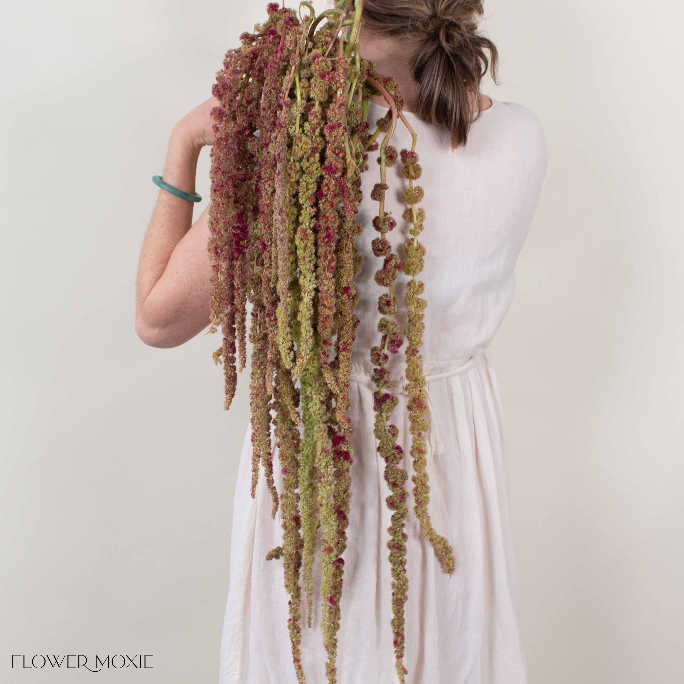 Bicolor Hanging Amaranthus Flower - Image 6