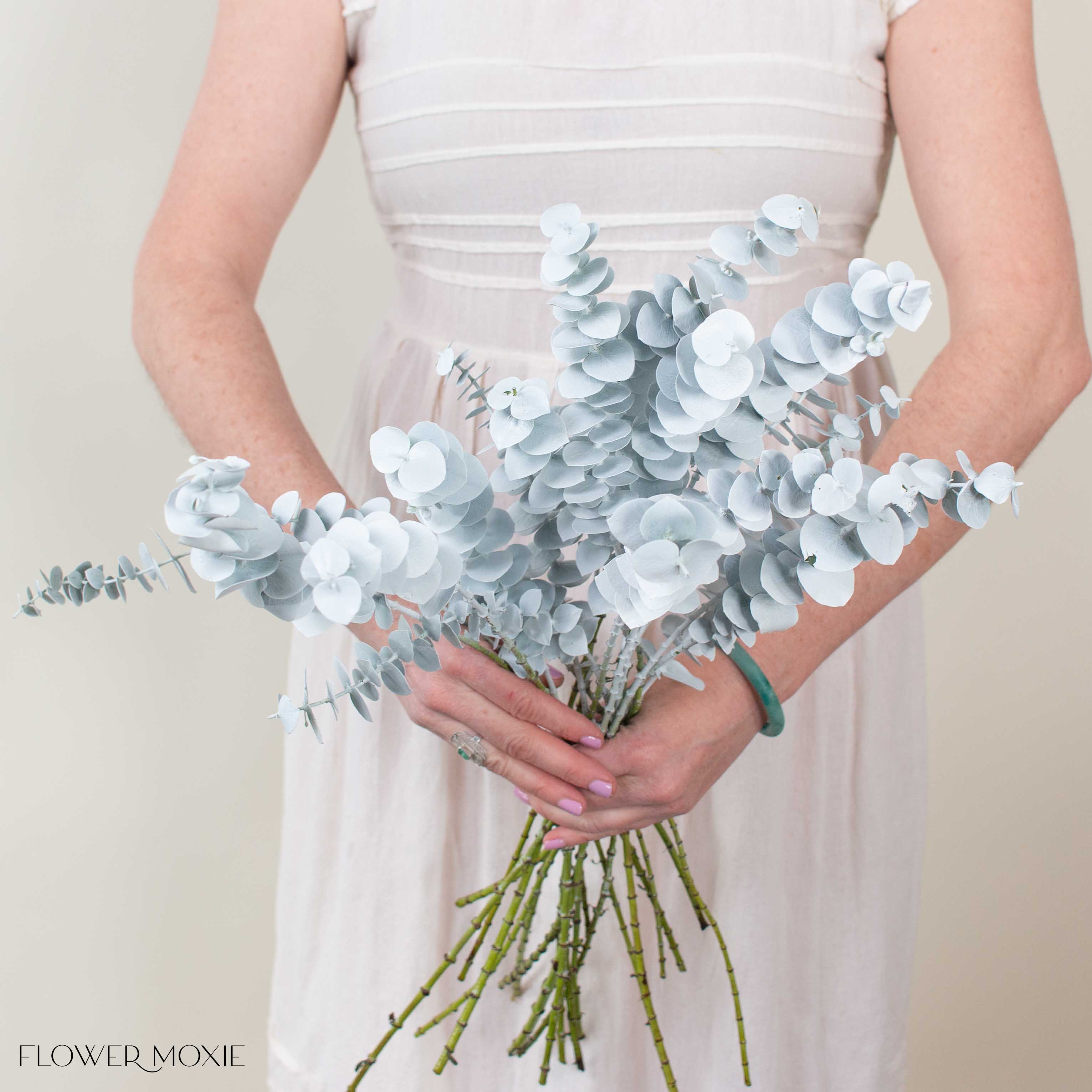 Tinted White Baby Eucalyptus Greenery