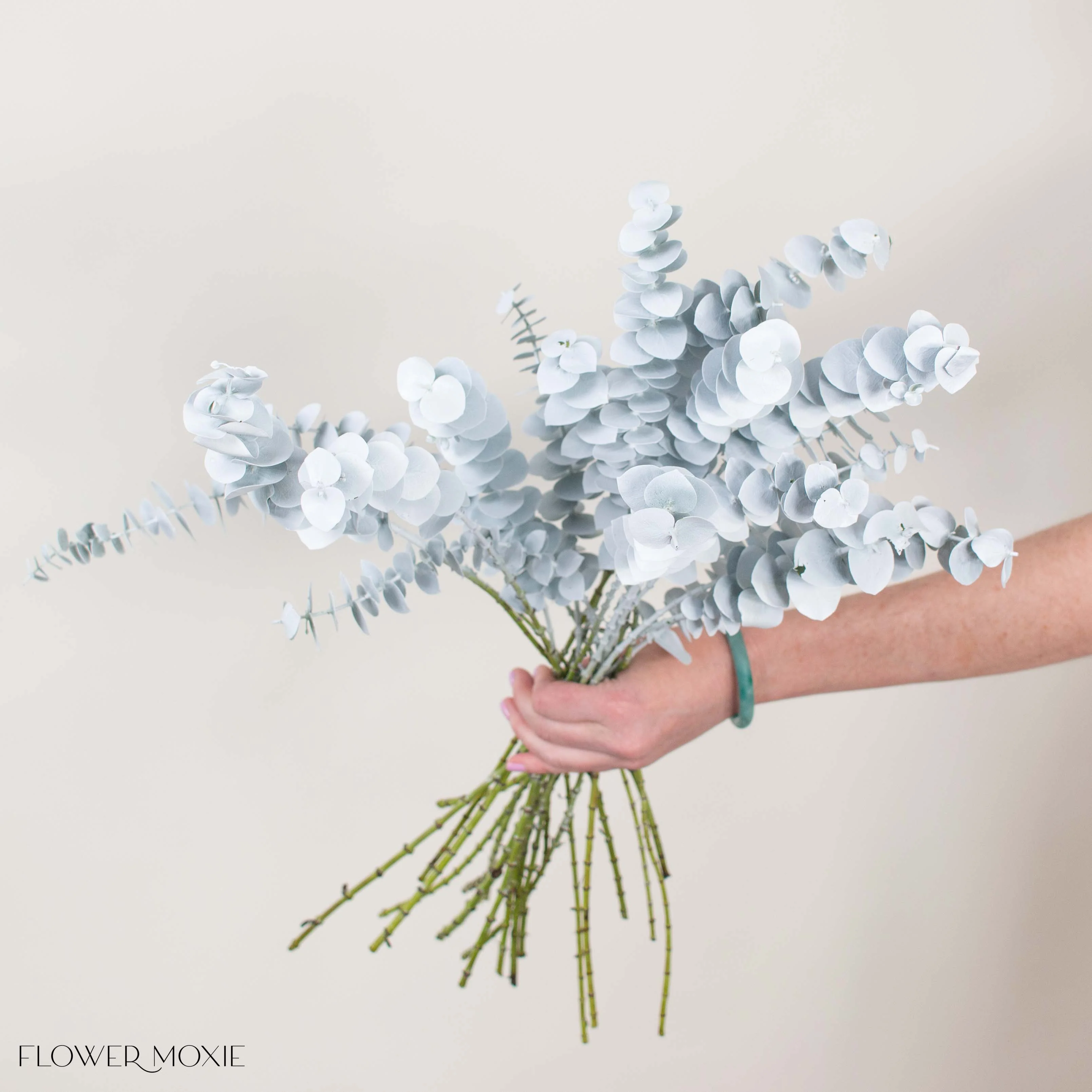 Tinted White Baby Eucalyptus Greenery - Image 2