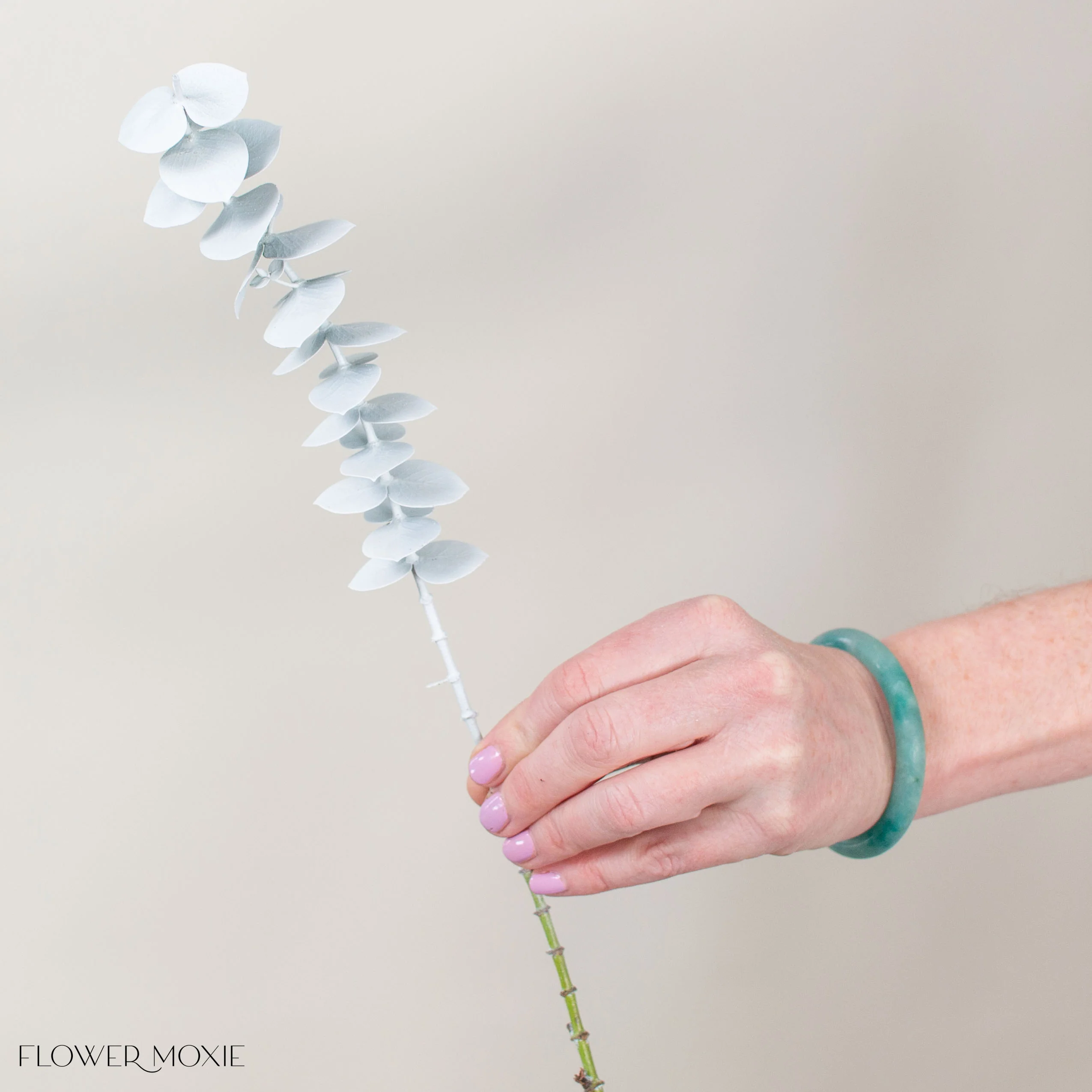 Tinted White Baby Eucalyptus Greenery - Image 4