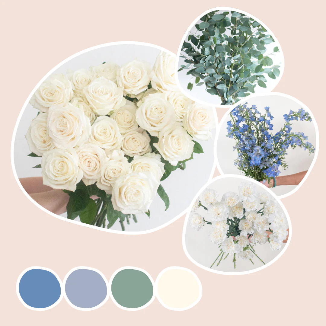 Blue Mixed Box – Misty Horizon