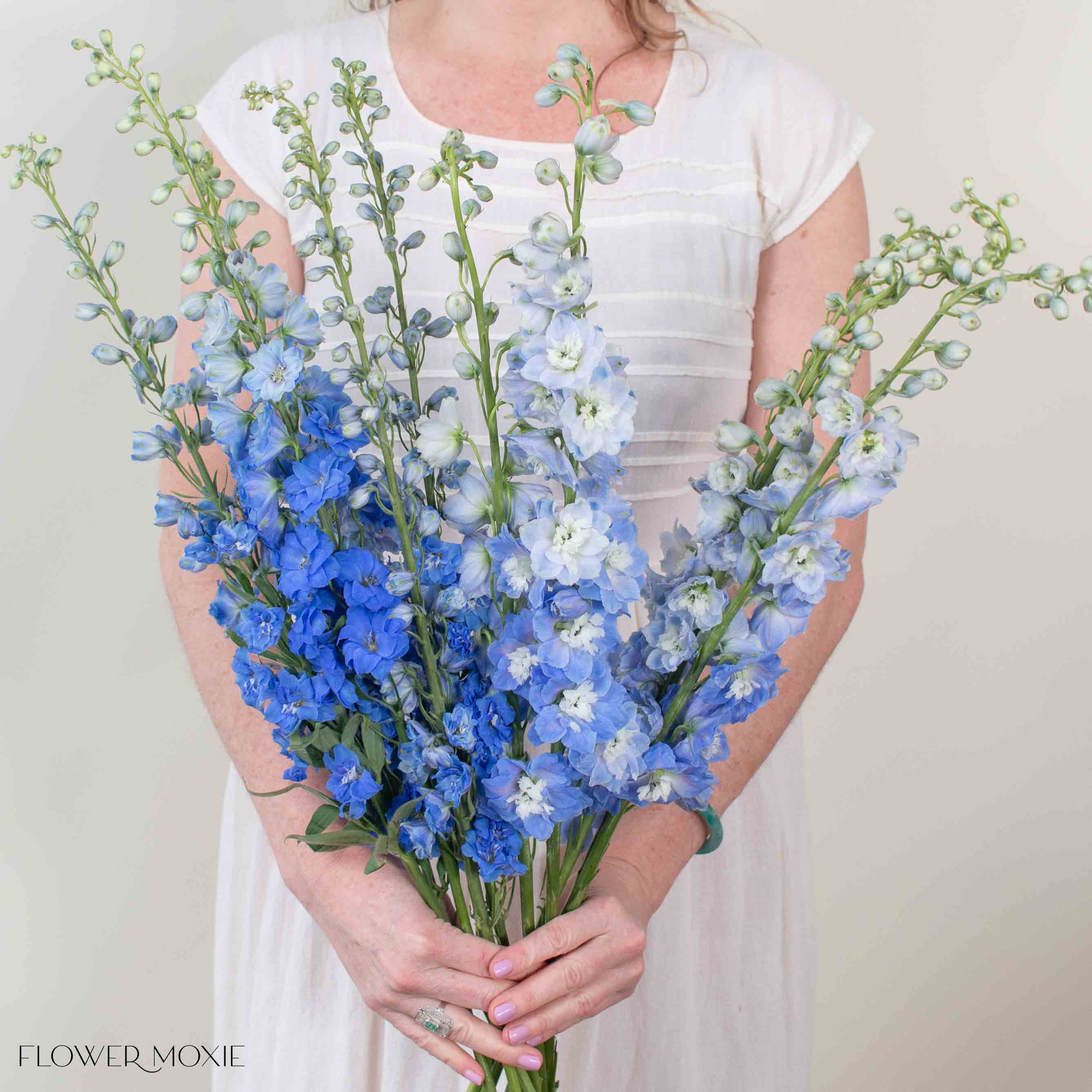 Blue Hybrid Delphinium Mixed Box - Image 2