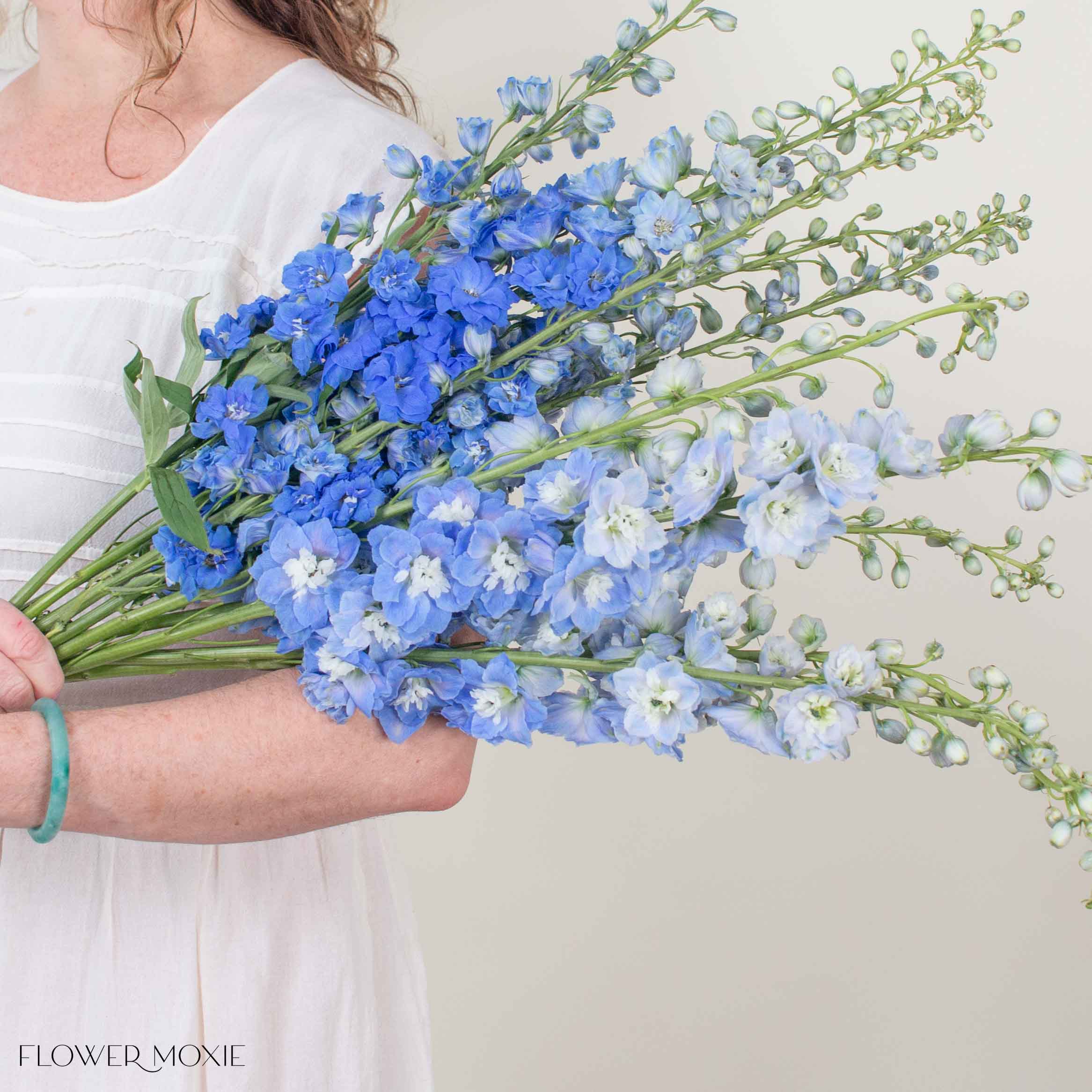 Blue Hybrid Delphinium Mixed Box - Image 3