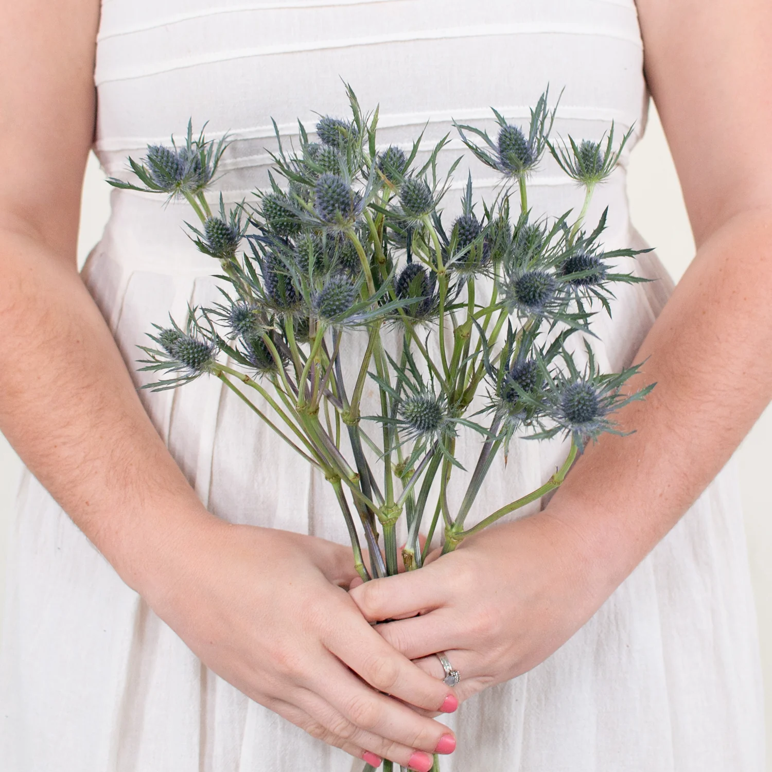 Blue Thistle Flower - Image 11