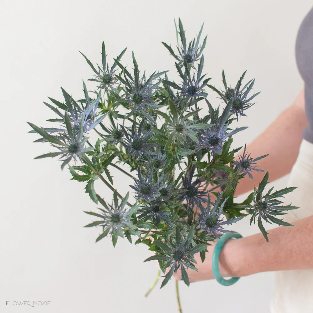 Blue Thistle Flower - Image 4