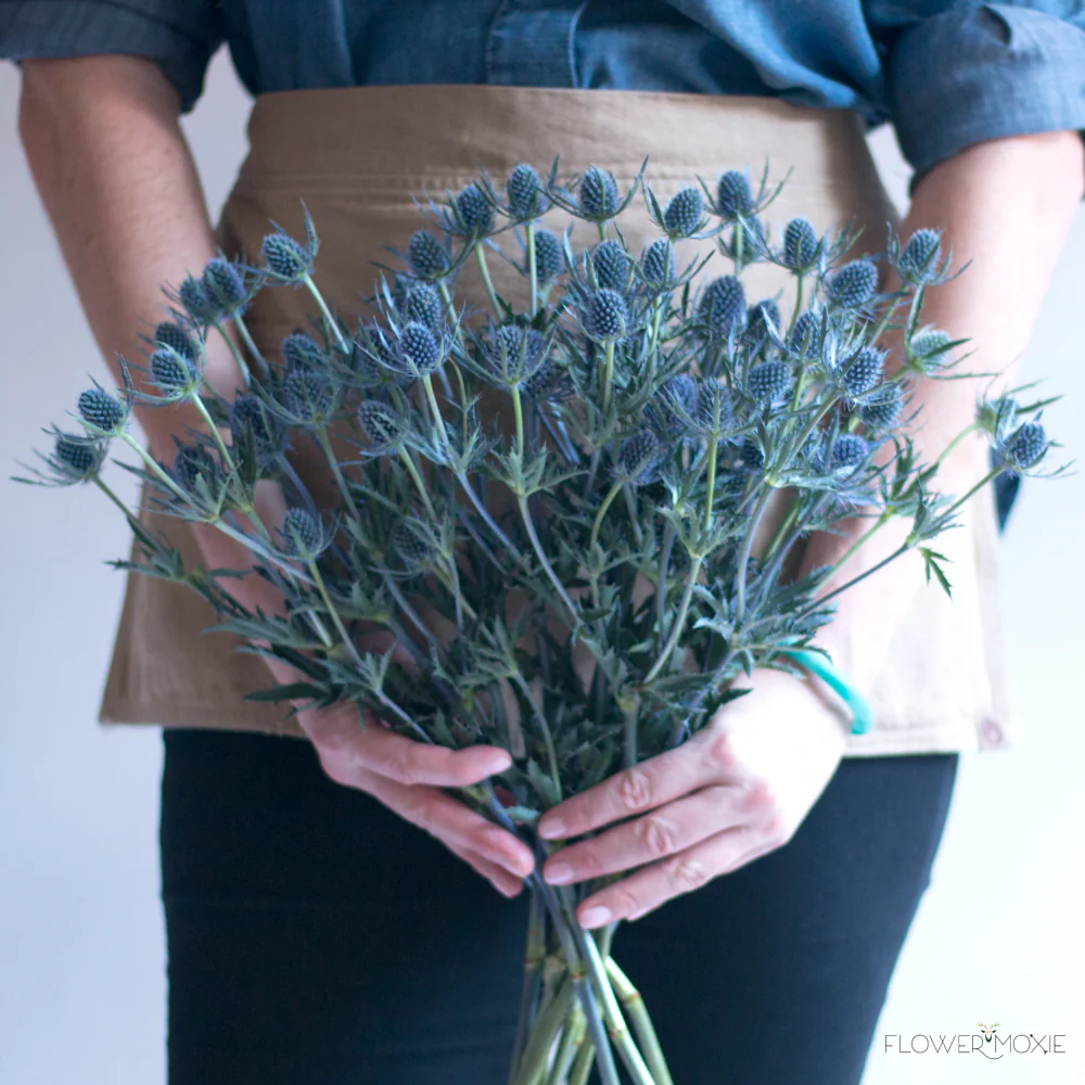 Blue Thistle Flower - Image 5