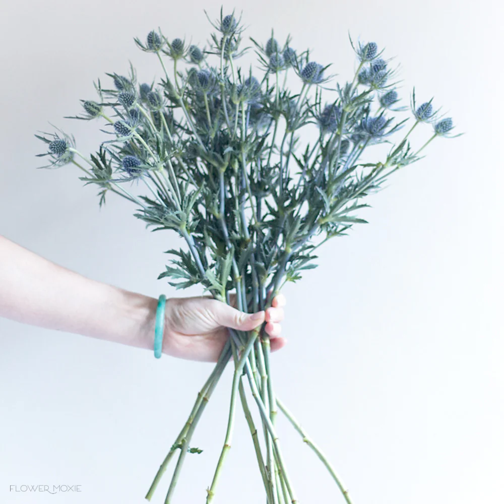 Blue Thistle Flower - Image 9