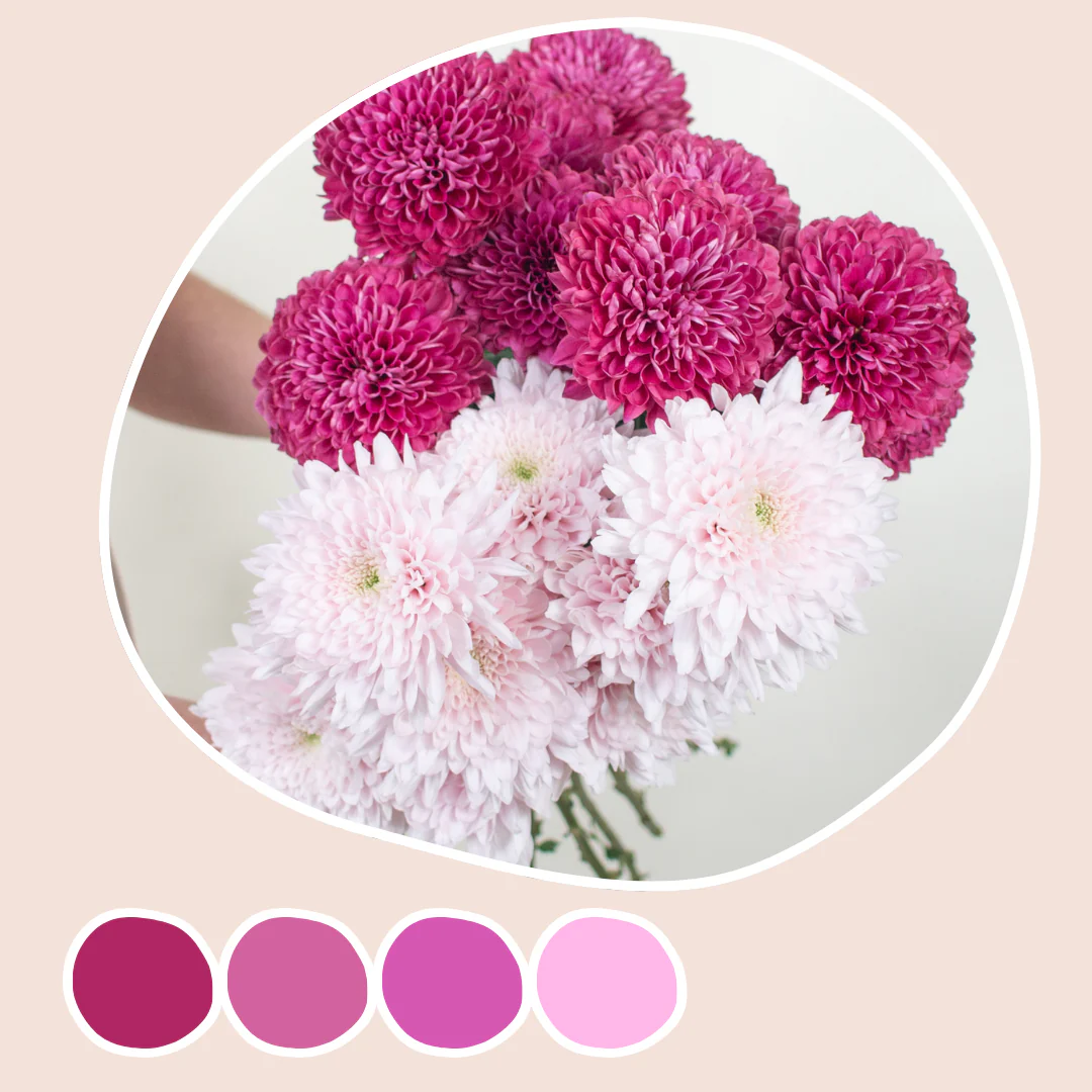 Soft Pink and Berry Cremones Mixed Box