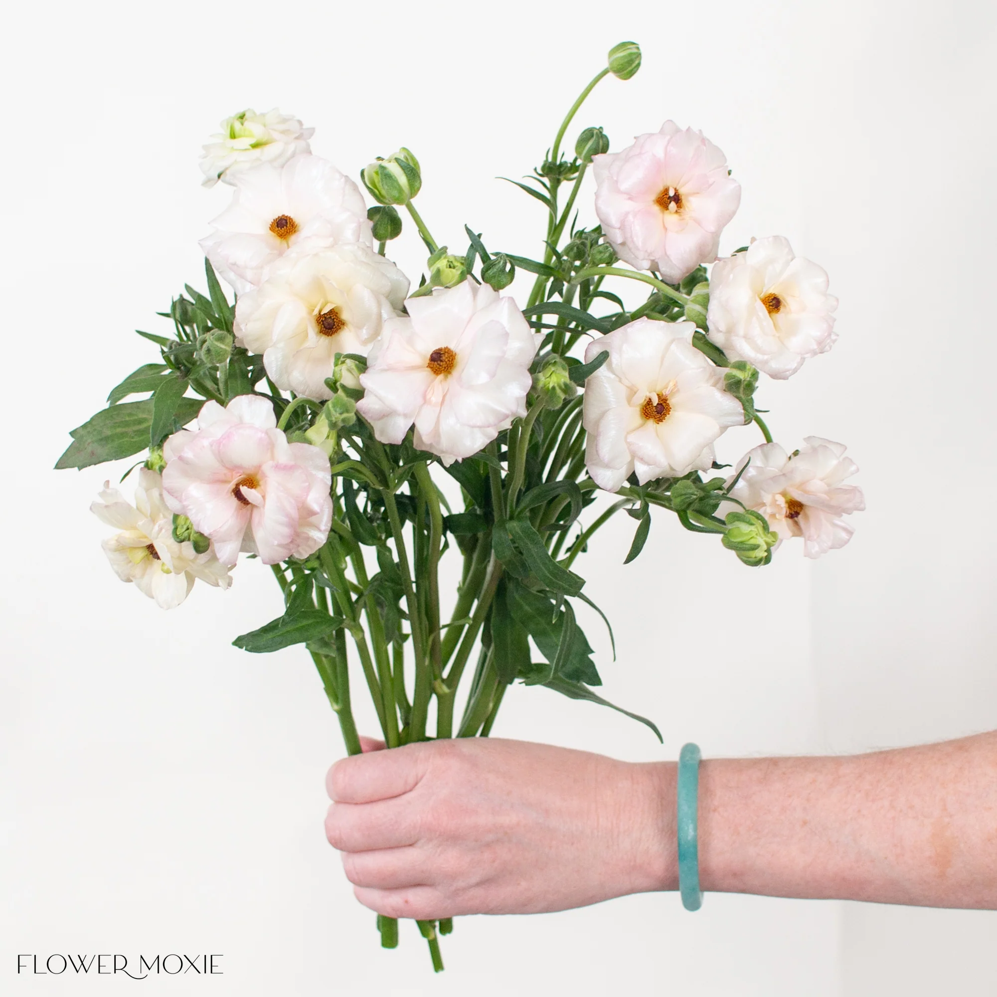 Blush Butterfly Ranunculus - Image 3