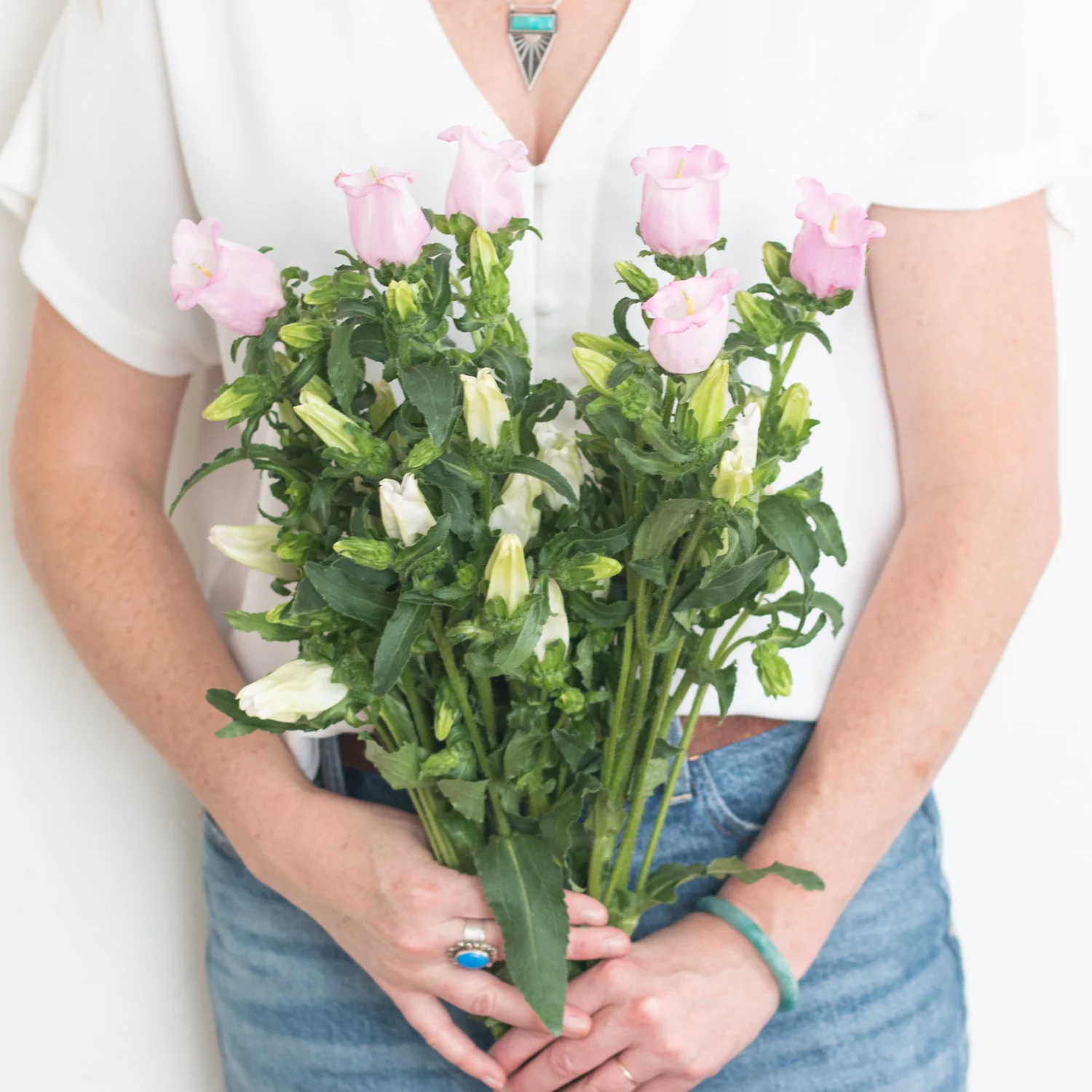 Blush Pink Campanula Flower