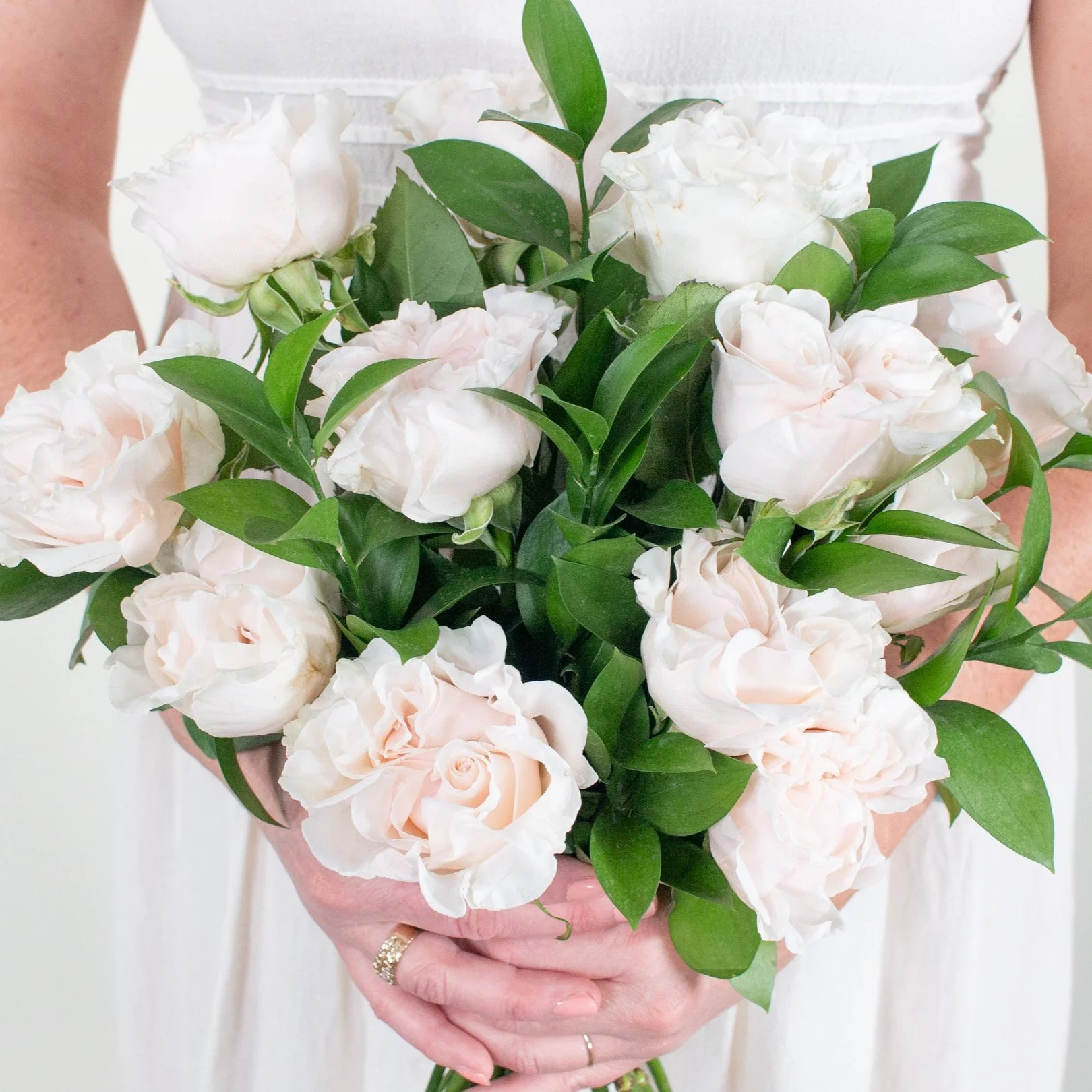 Blush Cotton Xpression Garden Rose