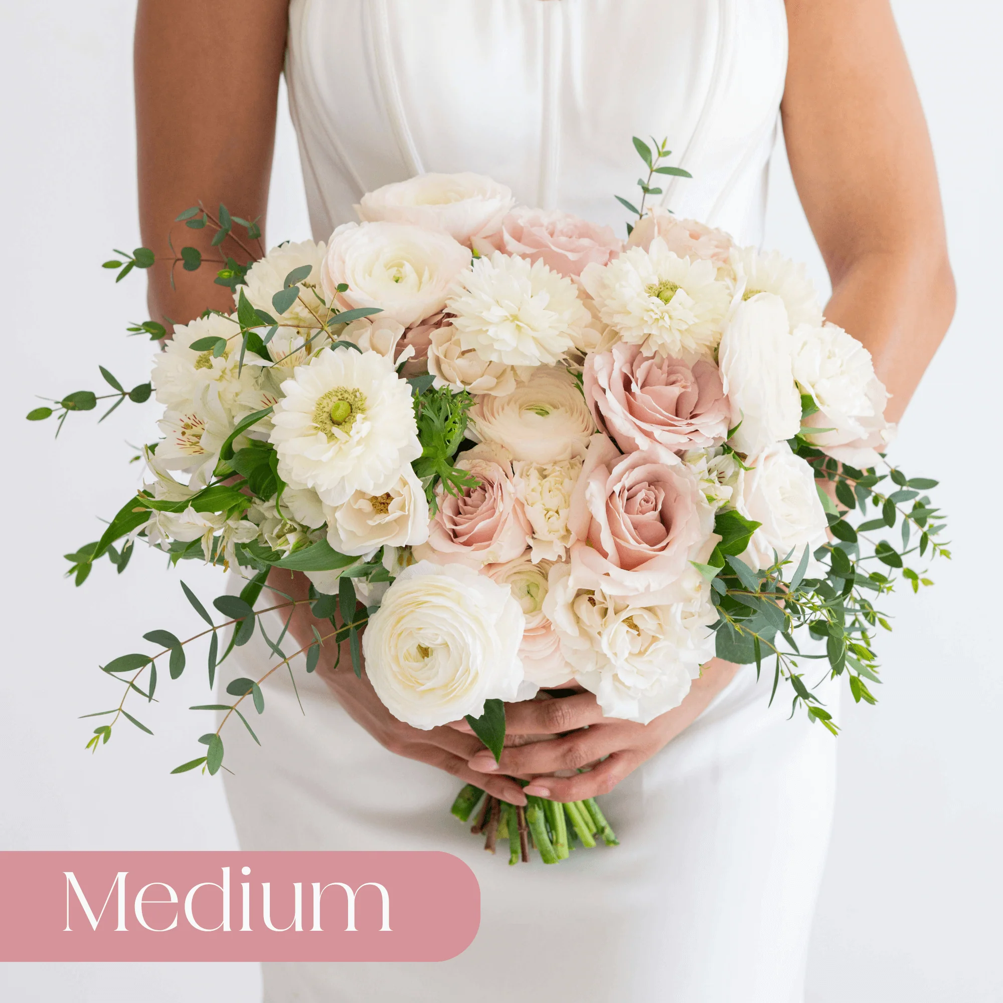 Blush and Cream Premade Plus - Medium