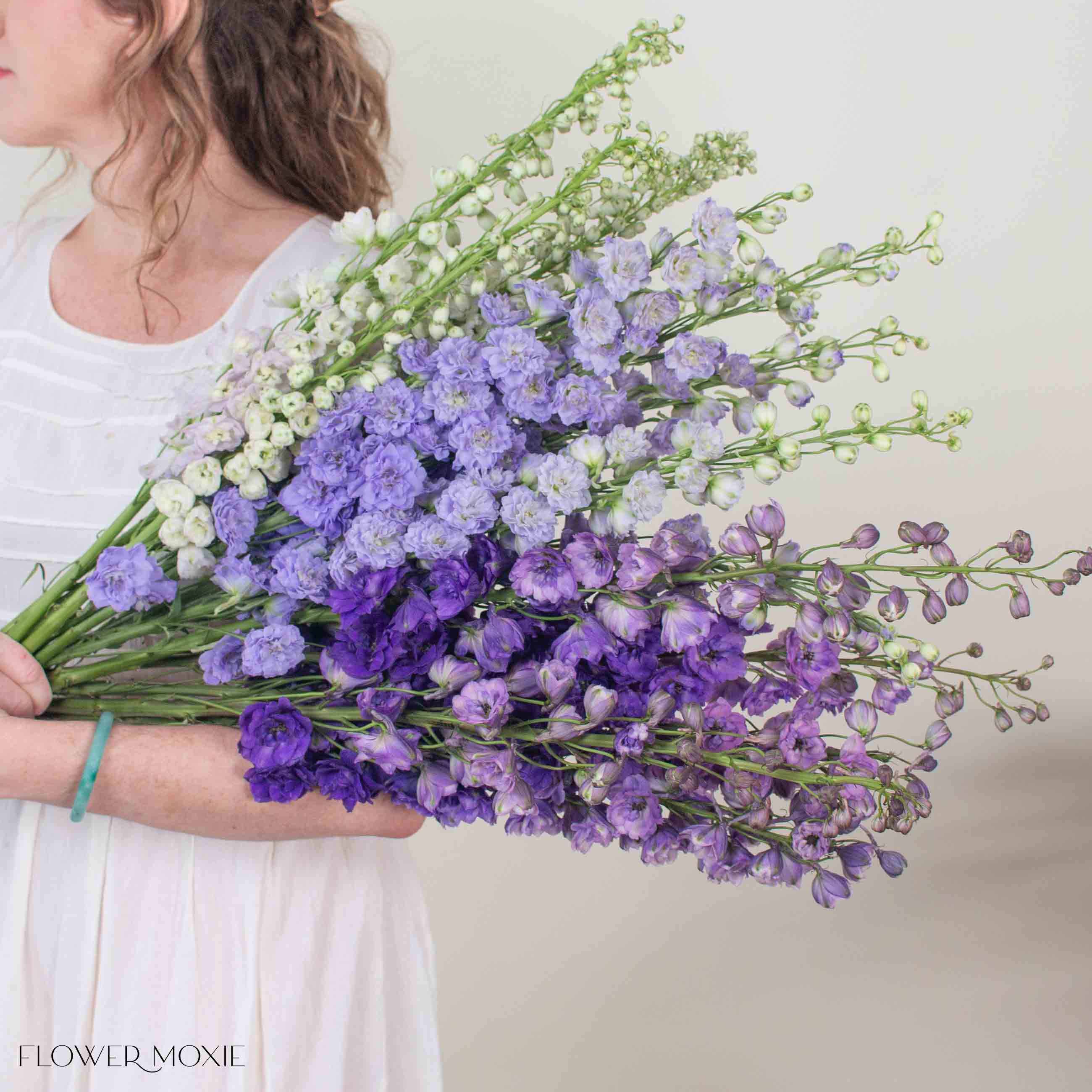 Blush, Lavender, and Purple Hybrid Delphinium Mixed Box - Image 4