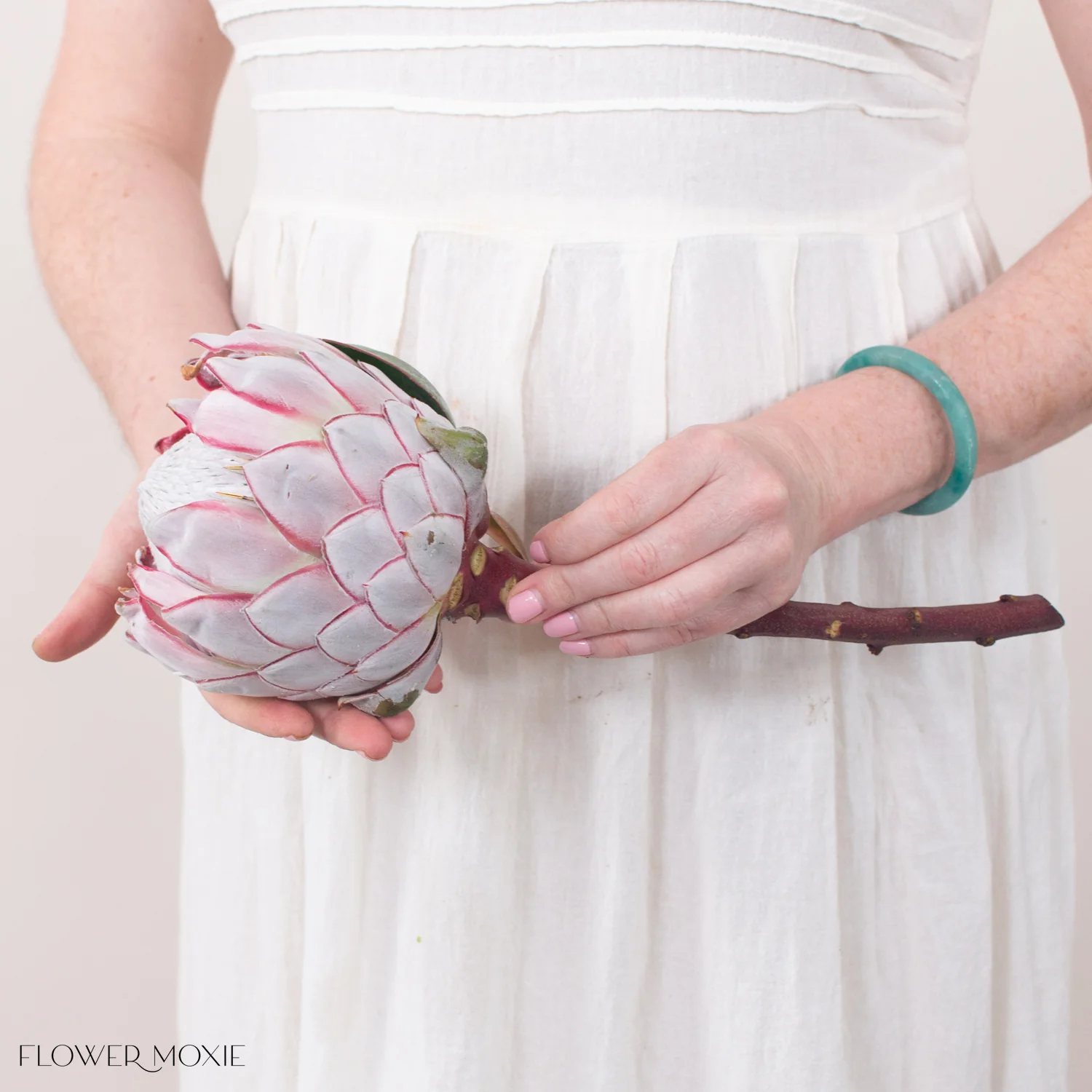 Blush Pink King Protea Flower - Image 3