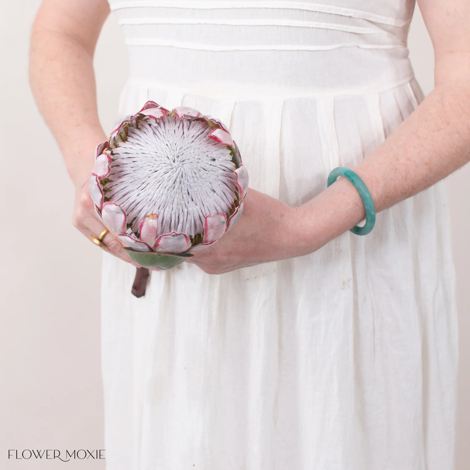 Blush Pink King Protea Flower - Image 7
