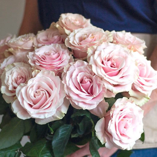 Light Pink Mondial Rose - Image 5