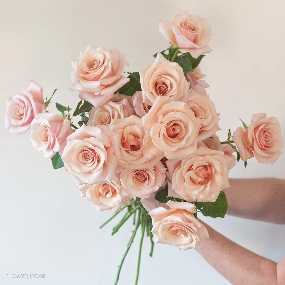 Peachy Pink Mother of Pearl Rose