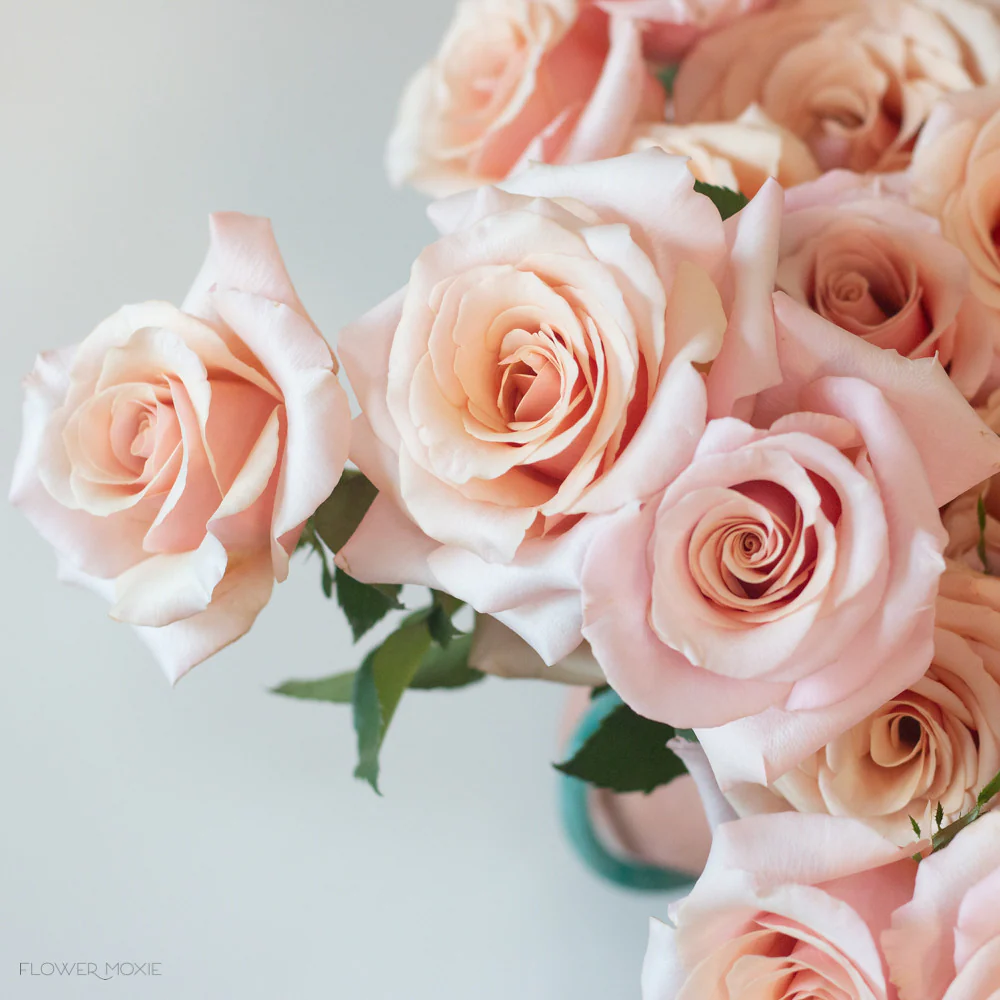Peachy Pink Mother of Pearl Rose - Image 4