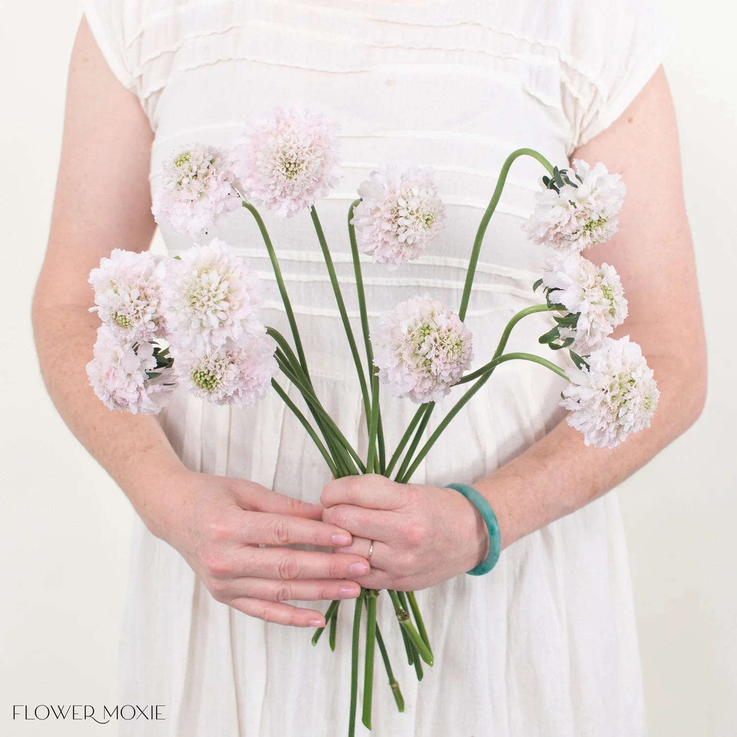 Blush Scabiosa Flower - Image 3