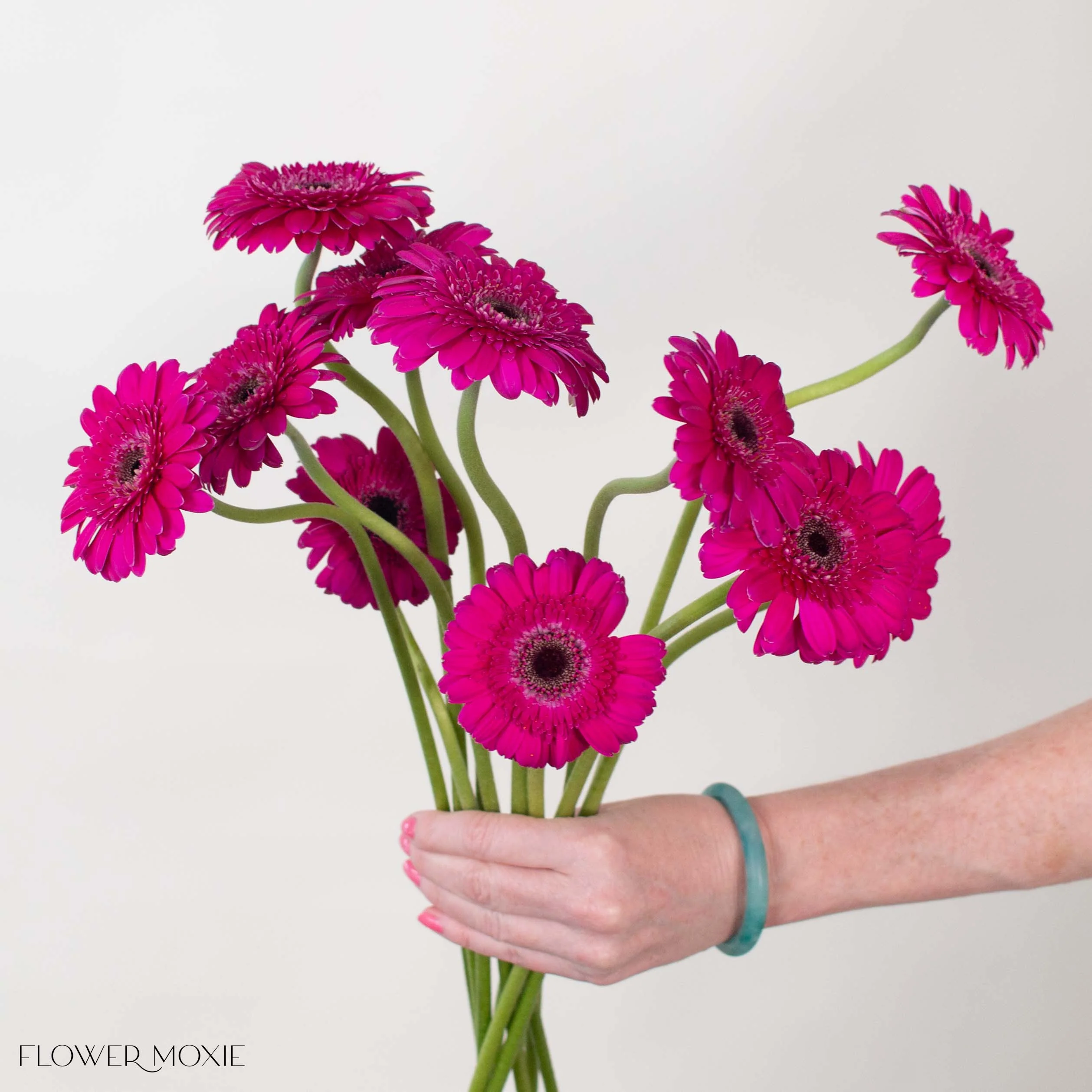 Deep Pink Mini Gerbera Daisies - Image 3