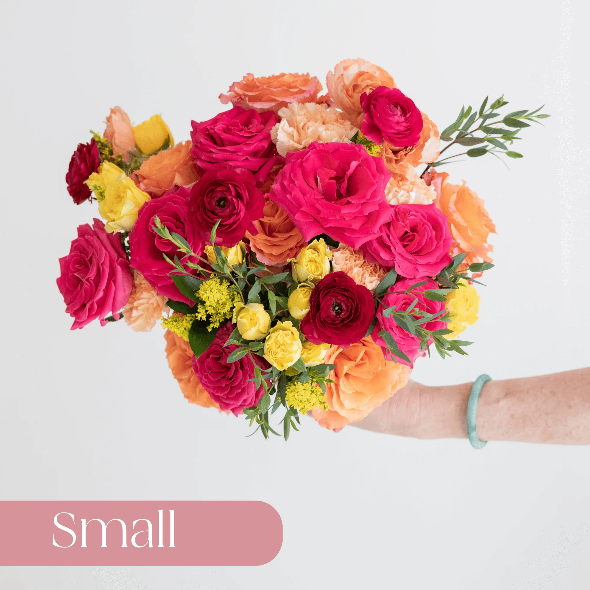 Bright and Cheerful Premade Plus - Small