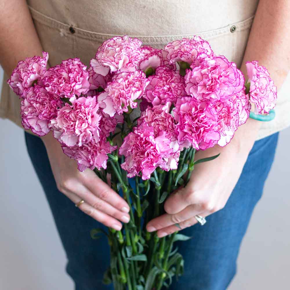Bright Pink Komachi Carnation Flower - Image 2
