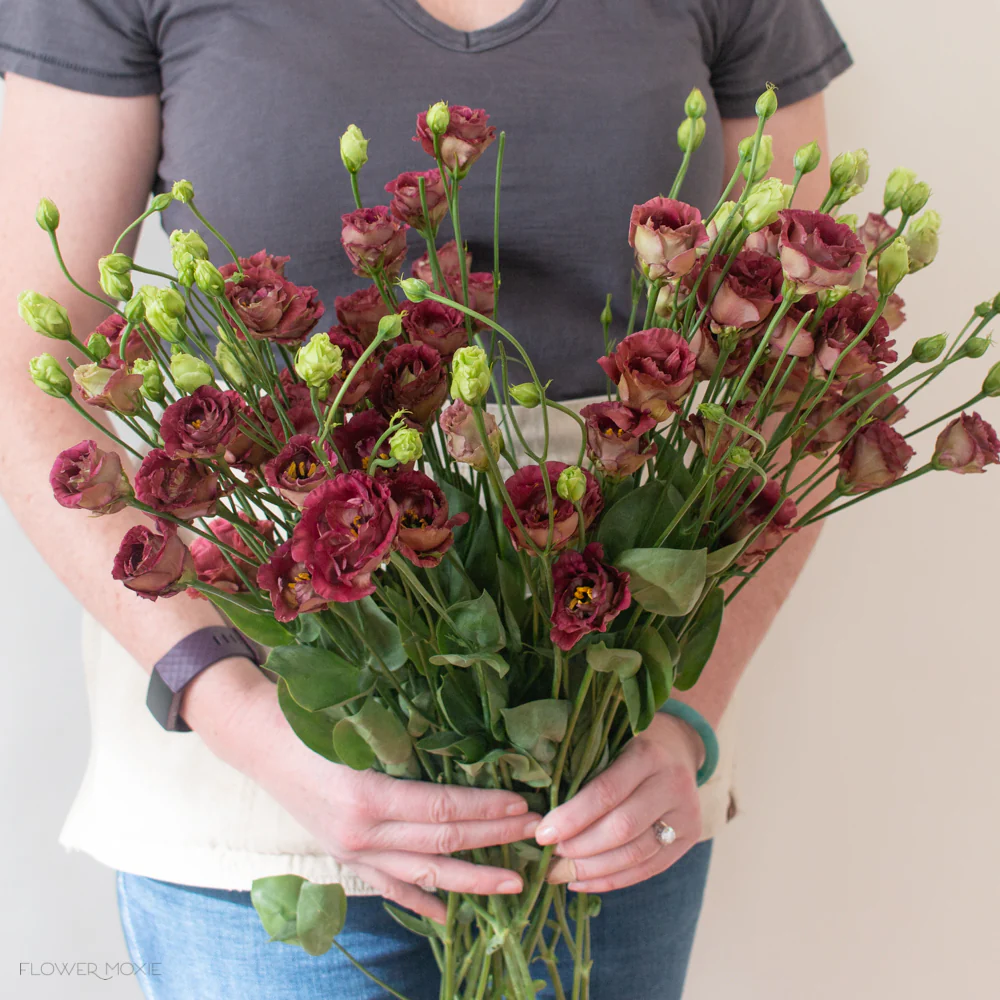 Brown Lisianthus Flower - Image 8