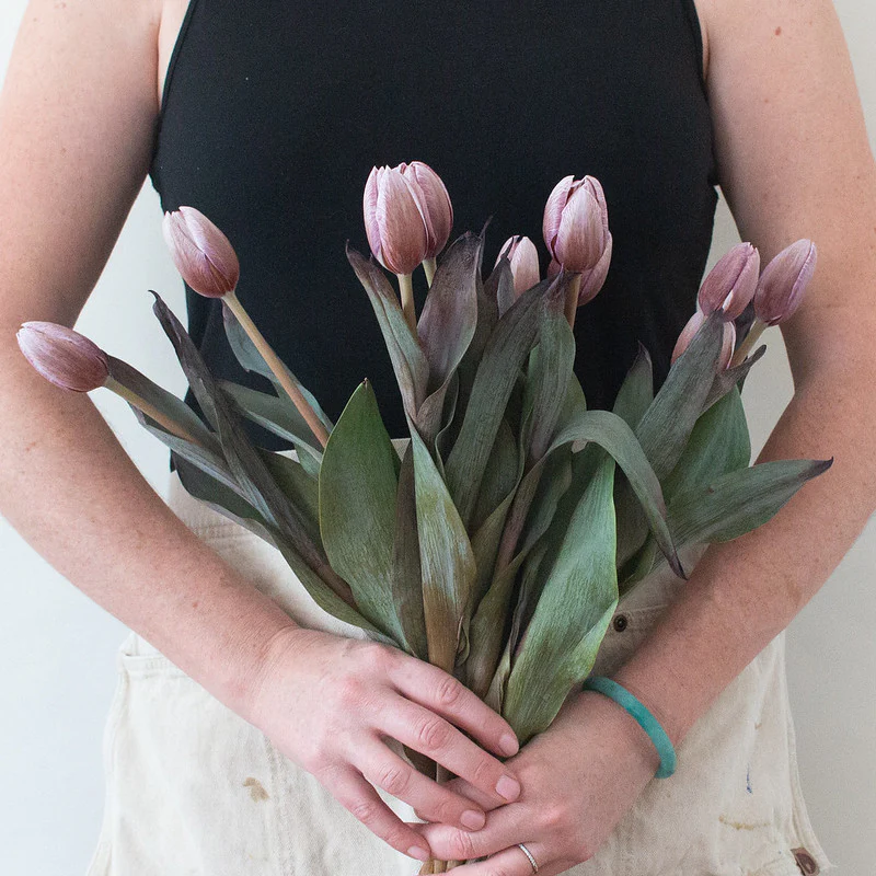 Brownie Mauve Tulip Flower - Image 5