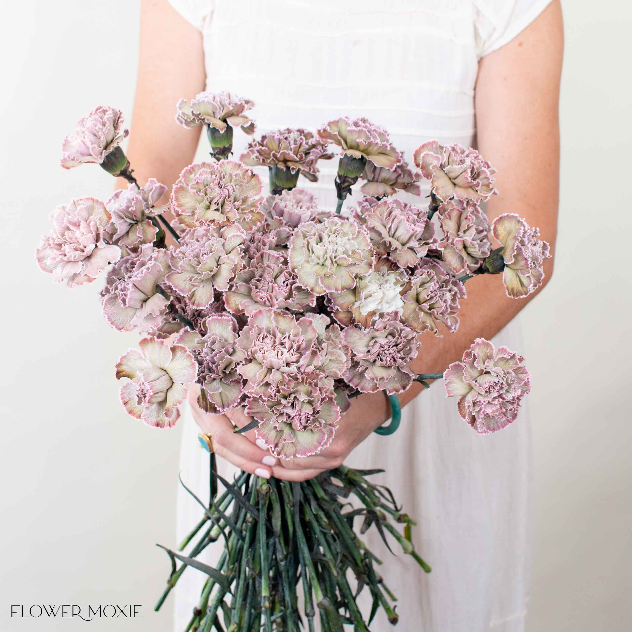 Tinted Brownie Carnation Flower - Image 2