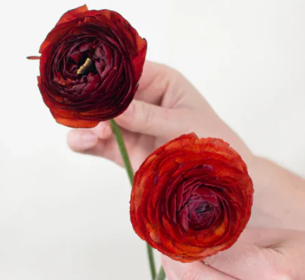 Build Your Own Wildflower Box (10 bunch minimum) - Image 19